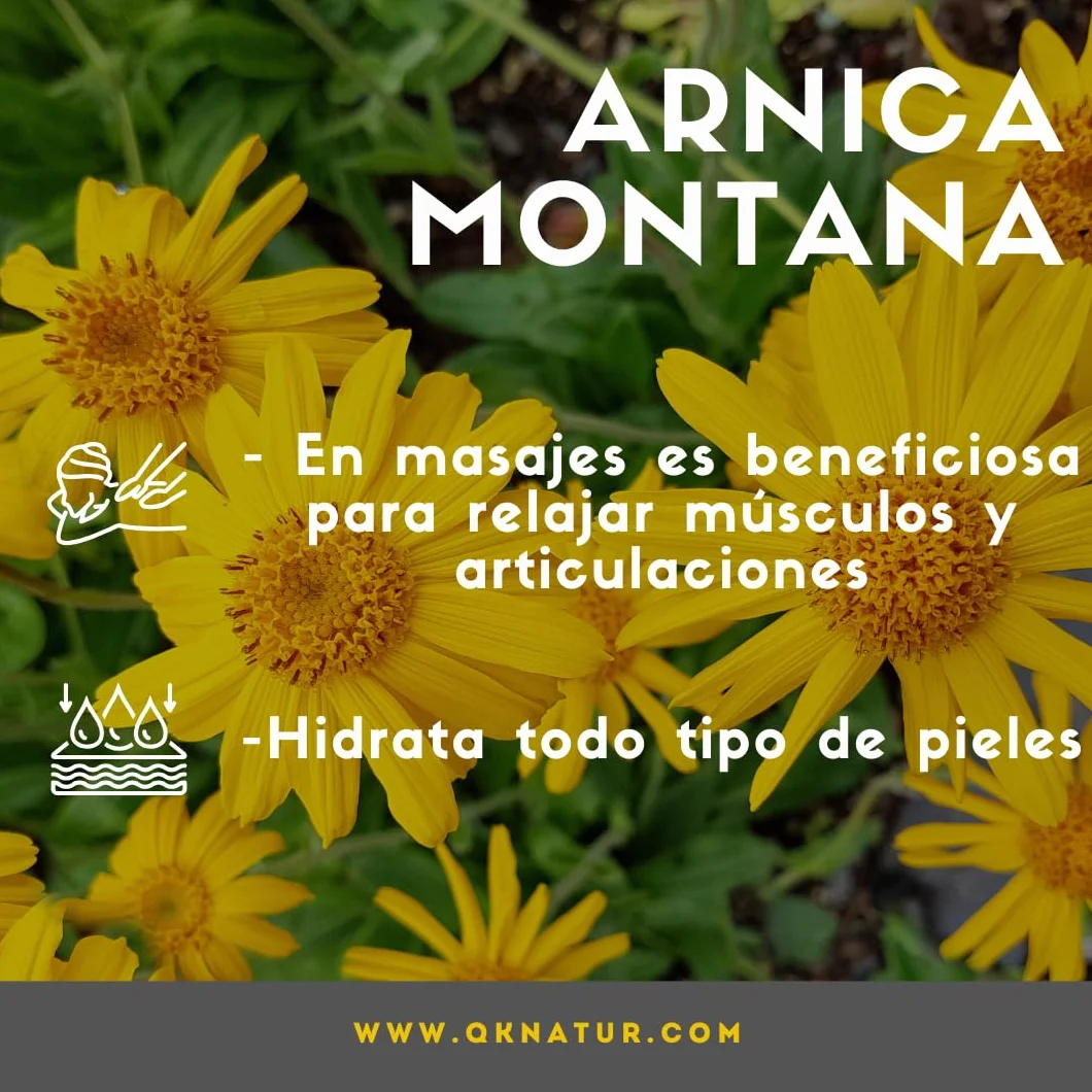 Aceite para masaje con extracto de Arnica, Calendula y Hamamelis (250 ml) - Absorción Rápida