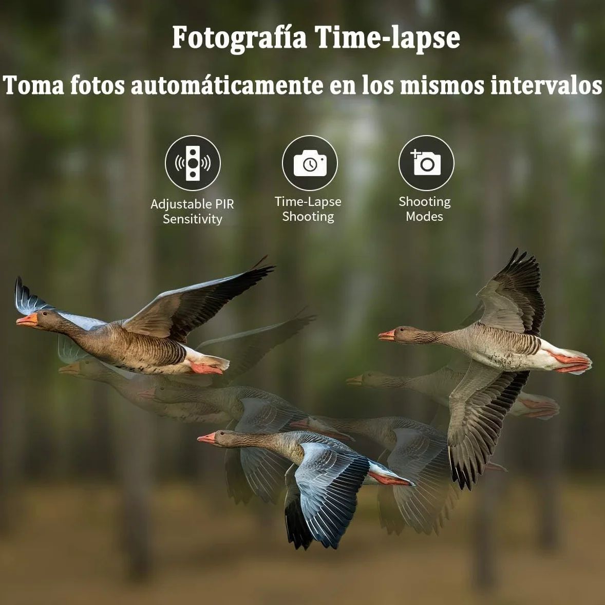 Camara Caza 50MP 4K, Camara Fototrampeo con Sensor de Movimiento, Cámara de Caza Nocturna Impermeable IP65, Visión Nocturna hasta 25m, Micro SD 32GB (HC808A)