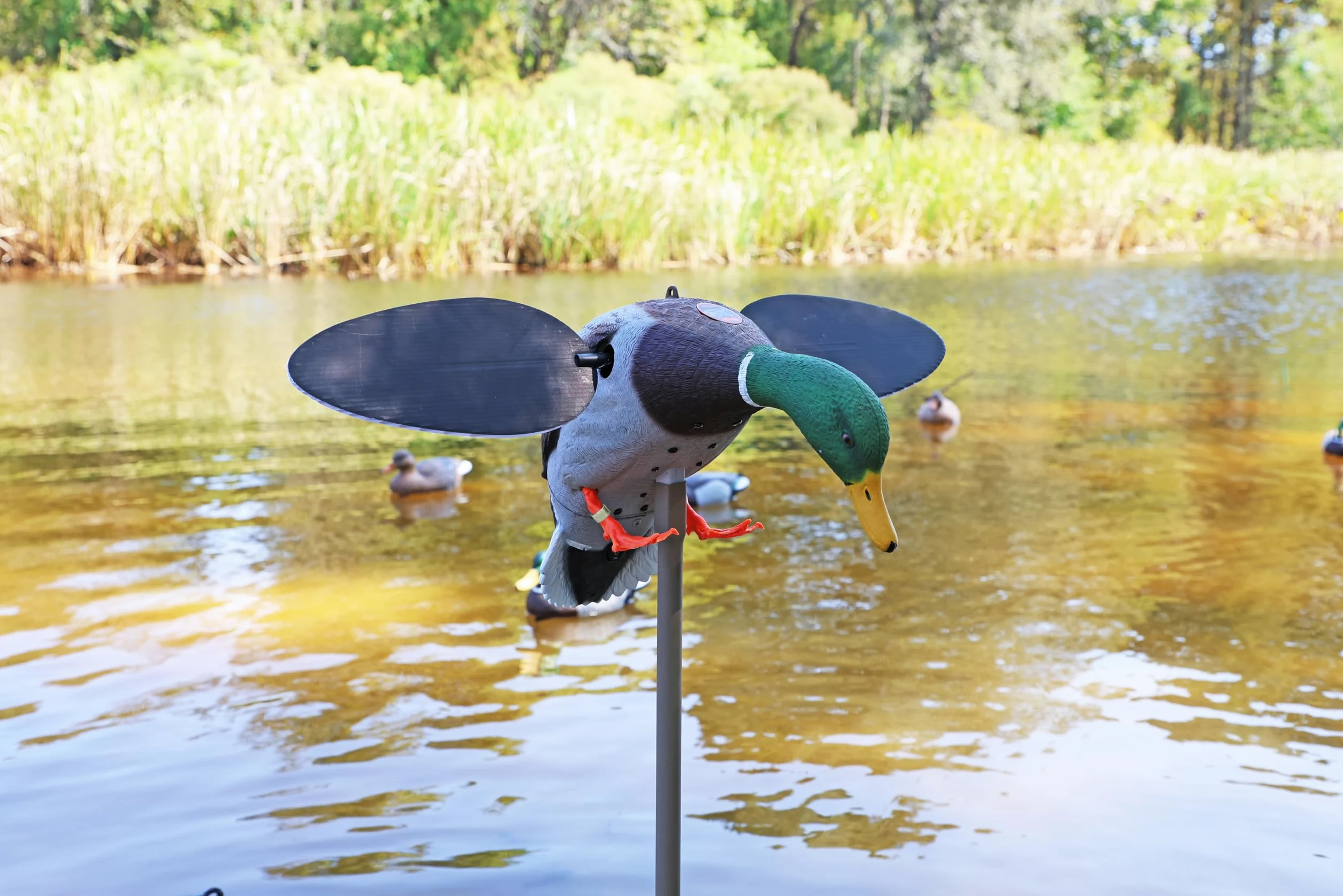 MOJO Outdoors Hw2025 Señuelo Plateado de Mallard, Unisex, Plata