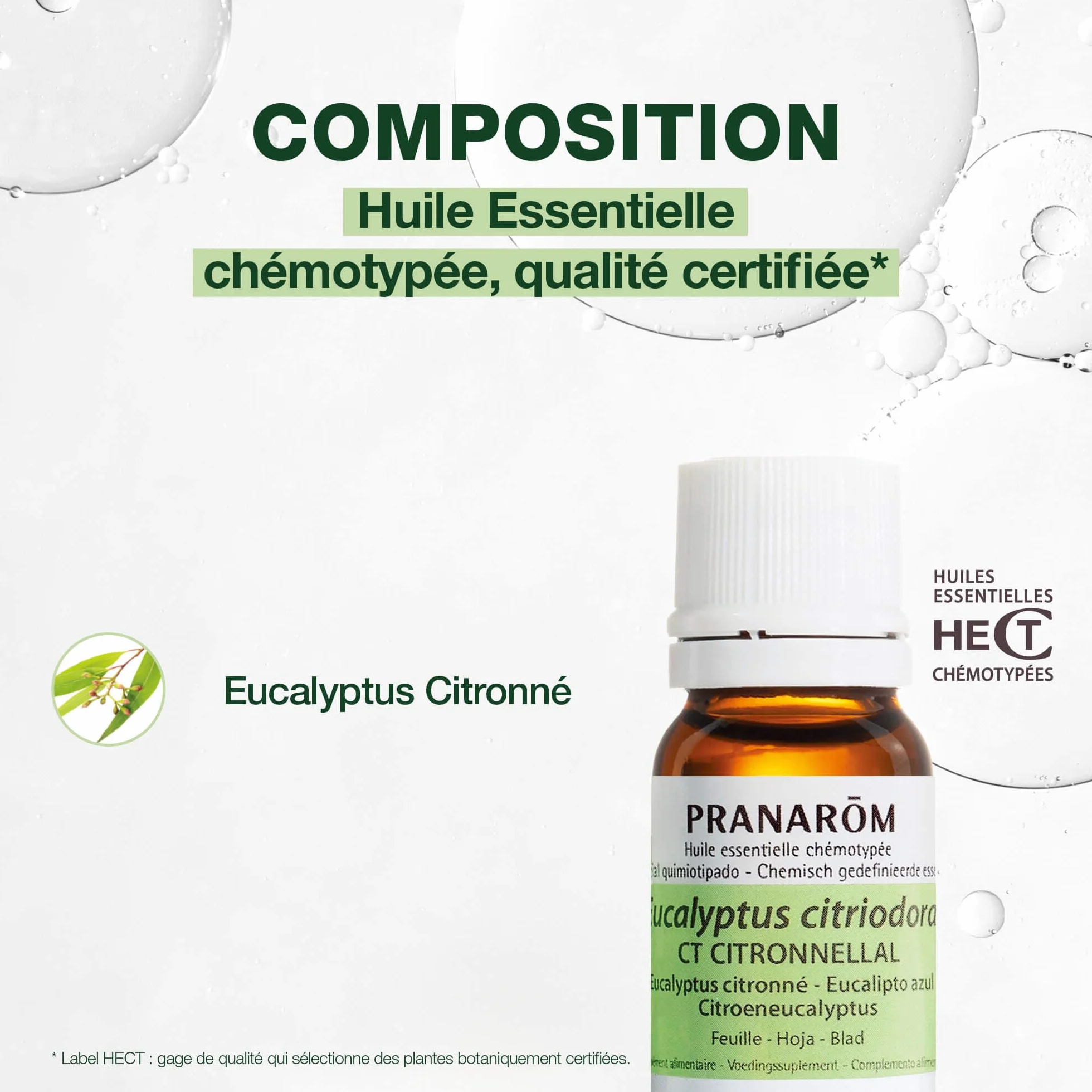 Aceite Esencial Quimitipado Eucalipto Azul BIO HECT 10 ml