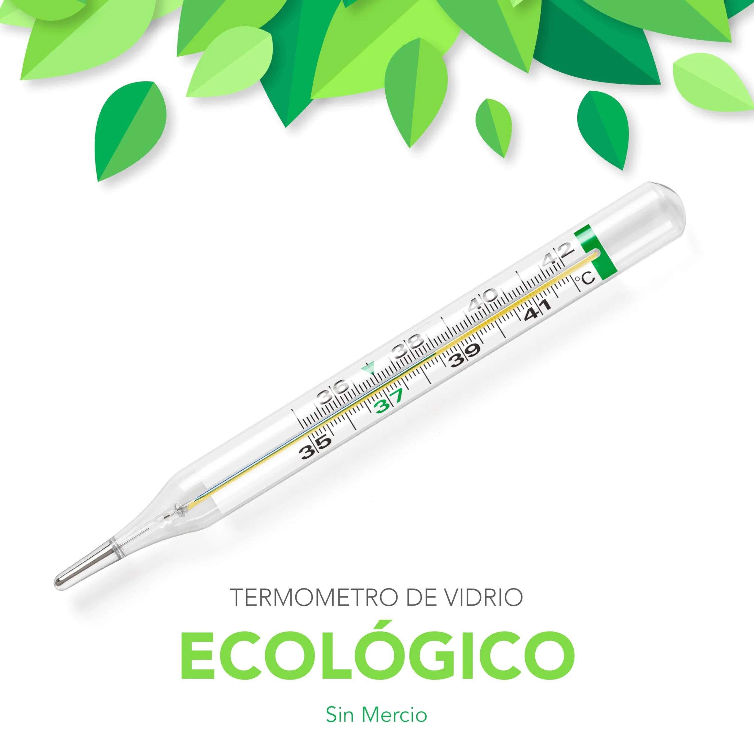 ECOTHERM Termómetro Clínico de Vidrio para Fiebre de Galio Sin Mercurio Ecológico