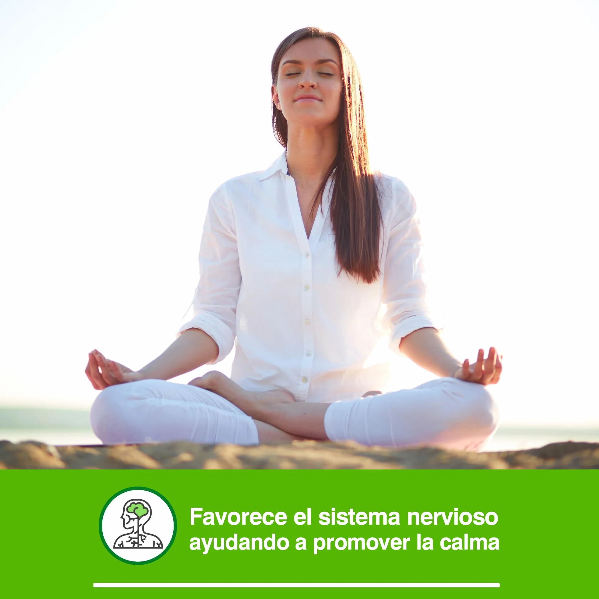 Soria Natural Extracto Pasiflora S.XXI Complemento alimenticio 50 ml