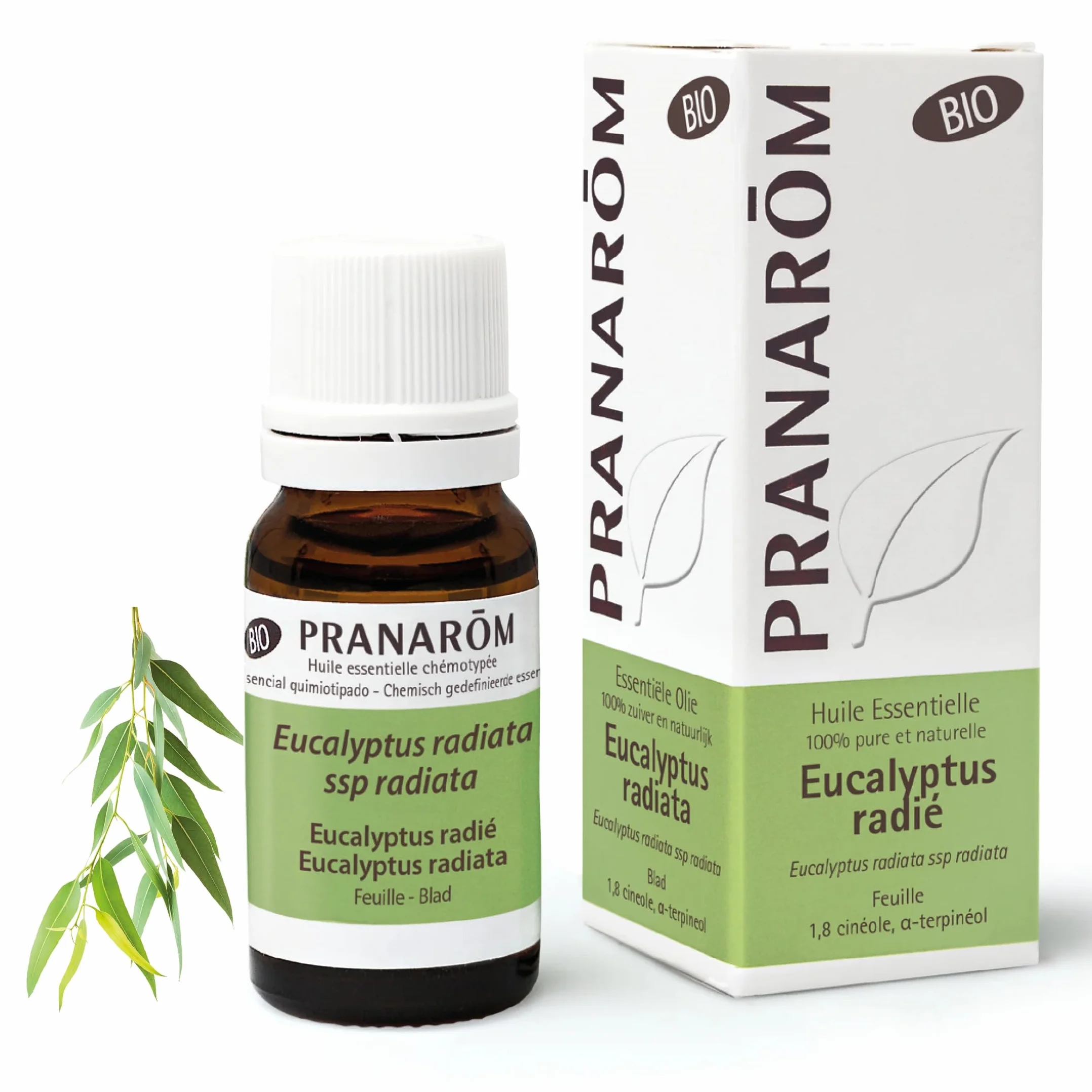 PRANAROM Eucalipto Radiata BIO Aceite Esencial Quimiotipado HECT 10 ml