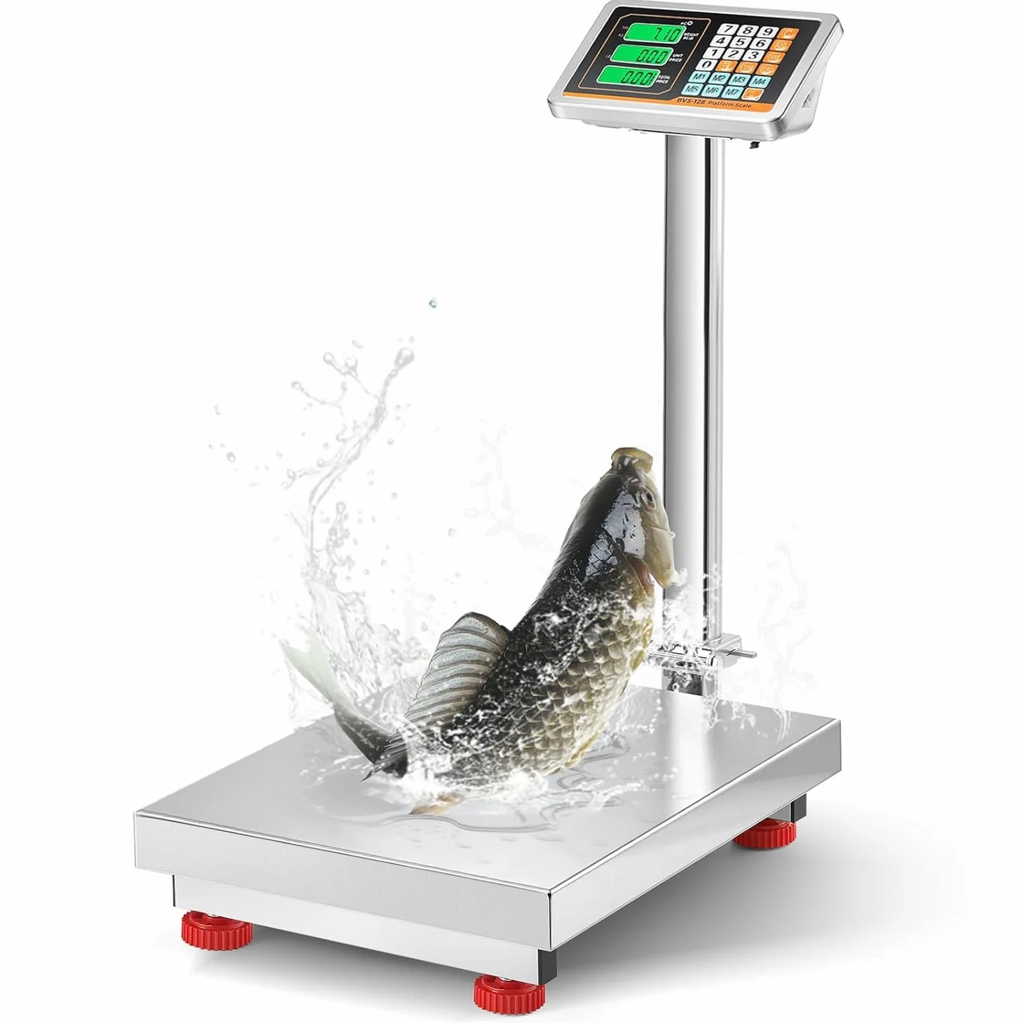 Bonvoisin Báscula de Plataforma Industrial 300kg/0,1kg, Plato Inox 52x42cm | Alimentación por Red/Batería, Báscula Suelo Resistente al Agua para Paquetes, Equipajes y Cartones