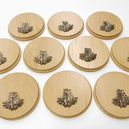 GTK Oferta 10 placas de cuña redondas de roble claro AF 15 cm tabla cuña, tabla de especias, cartel para trofeos con 10 hojas de roble