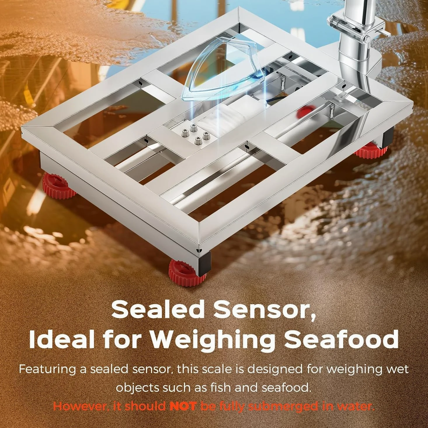 Bonvoisin Báscula de Plataforma Industrial 300kg/0,1kg, Plato Inox 52x42cm | Alimentación por Red/Batería, Báscula Suelo Resistente al Agua para Paquetes, Equipajes y Cartones