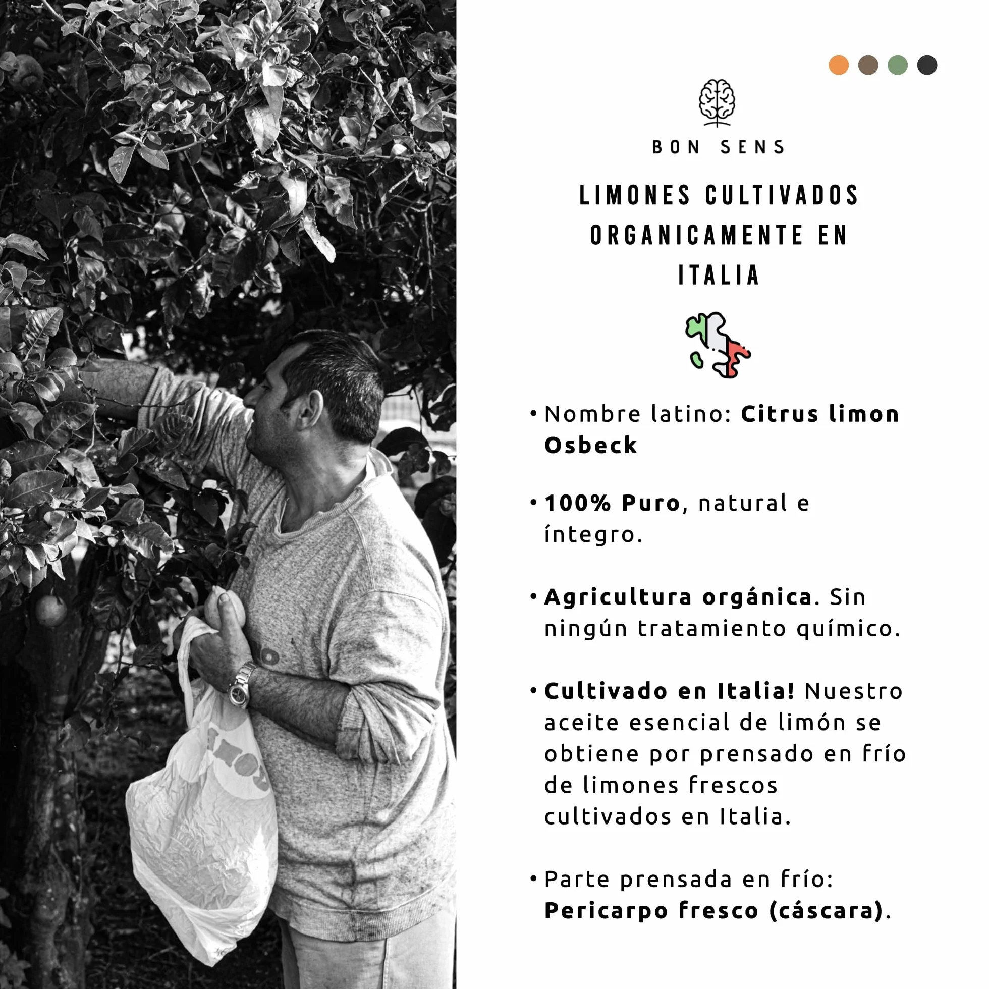 Aceite Esencial de Limón BIO 50ml 100% Puro Orgánico Citrus limon Osbeck Cultivado en Italia