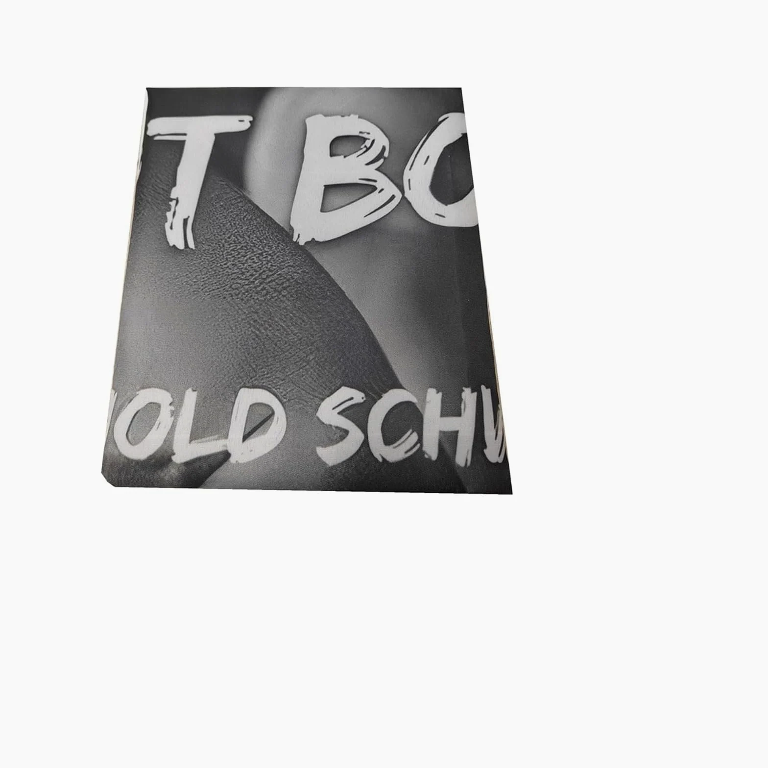 Bandera de Schwarzenegger, Motivación Gimnasio Divertido Póster de Fitness Poliéster 90 g con Ojales con Doble Aguja Cosida, para Dormitorio, Sala de Estar (90 x 150 cm)
