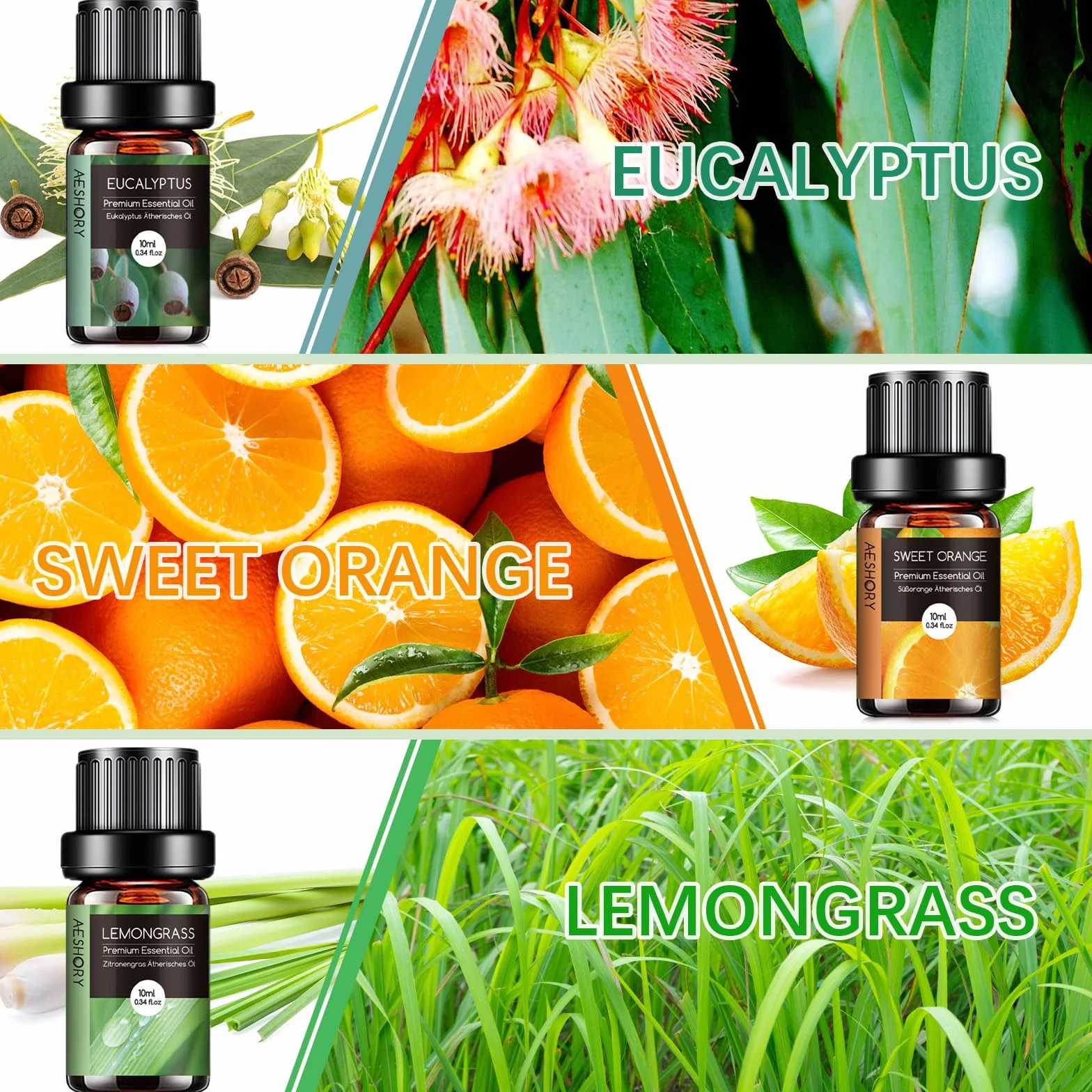 Aceites Esenciales para Humidificador 6 x 10ML, Set de Aceites Aromáticos Naturales para Difusor, Aromaterapia - Lavanda, Menta, Árbol de Té, Eucalipto, Naranja Dulce