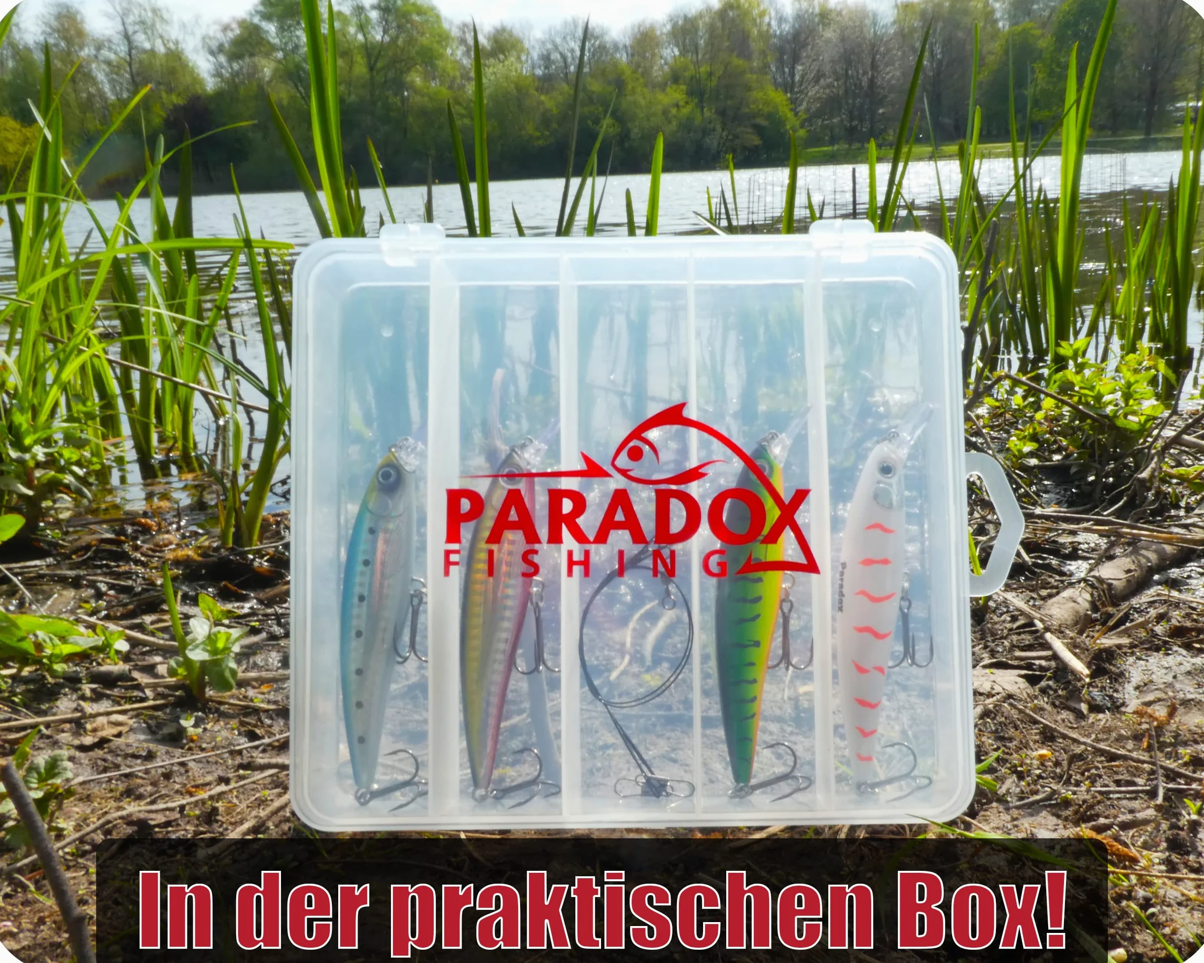 Paradox Fishing Juego de 4 señuelos de pesca de lucioperca, 13 g, 11 cm, con caja, cebo para lucioperca, perca