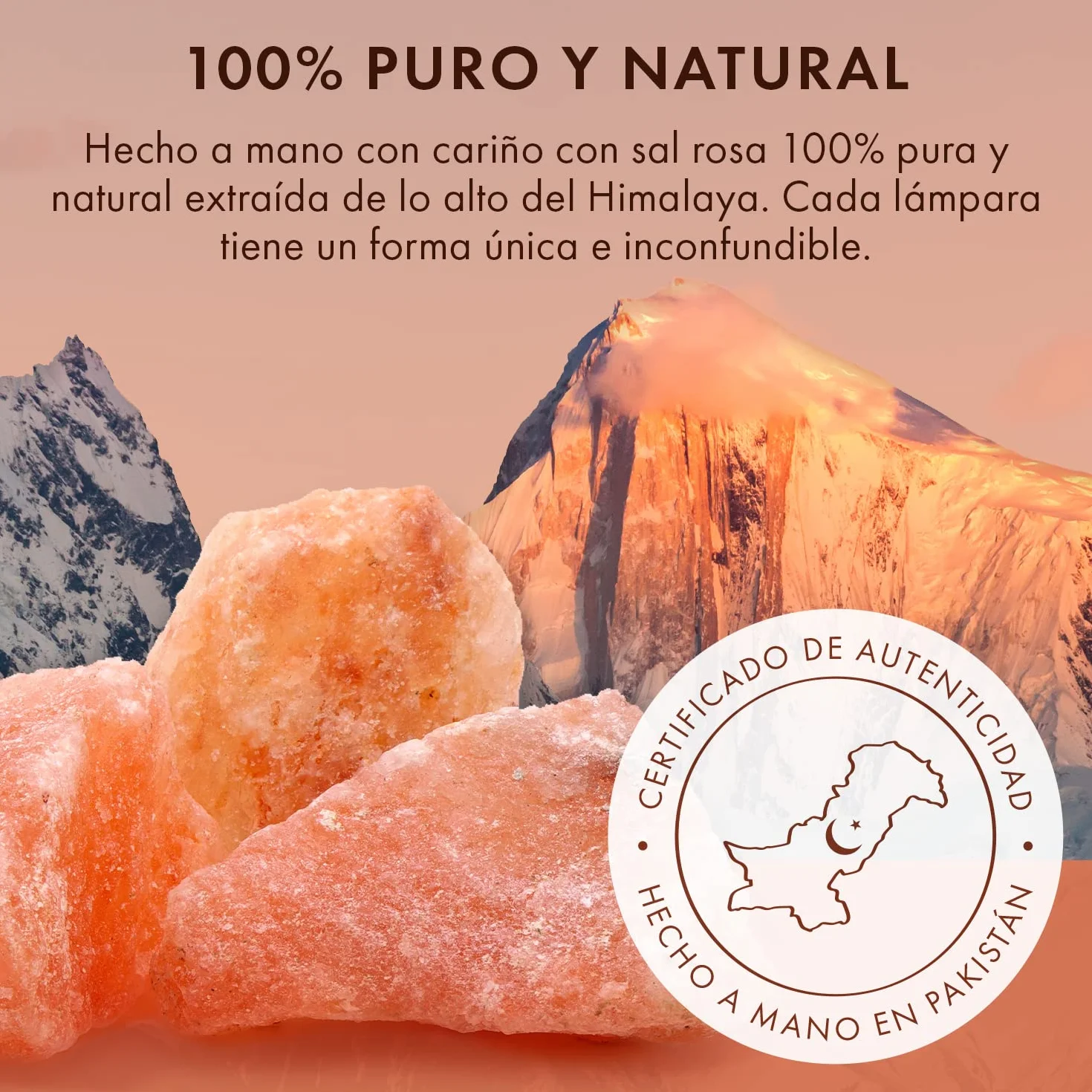 The Body Source Lámpara de Sal del Himalaya 2-3 KG con Regulador de Intensidad Base de Madera