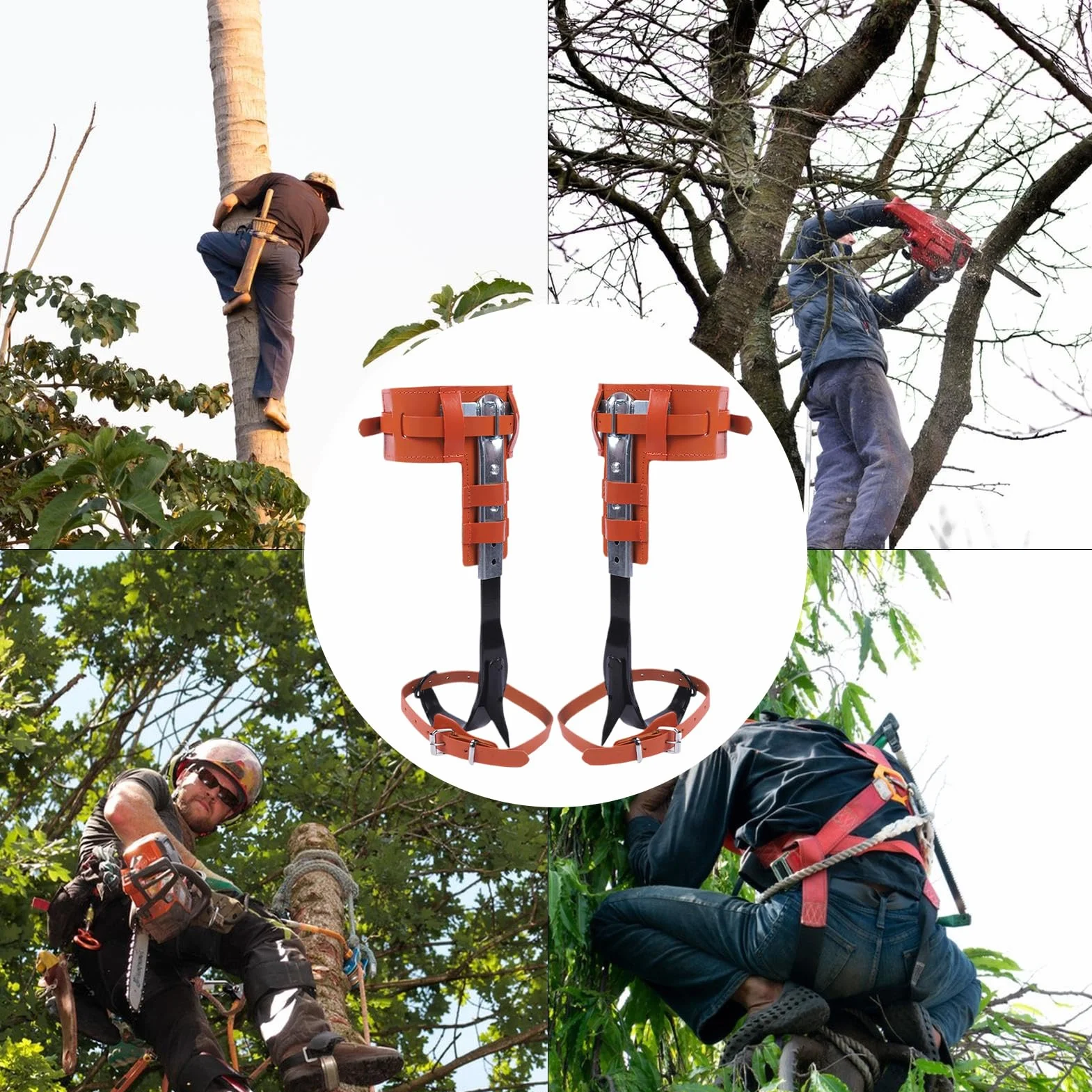 Genérico Espuelas para Trepar Árboles | Picos para Escalada De Árboles Actividades Exteriores - Ergonómico Altura Ajustable Accesorio De Recreación Al Aire Libre para La Poda El Corte La Gestión De