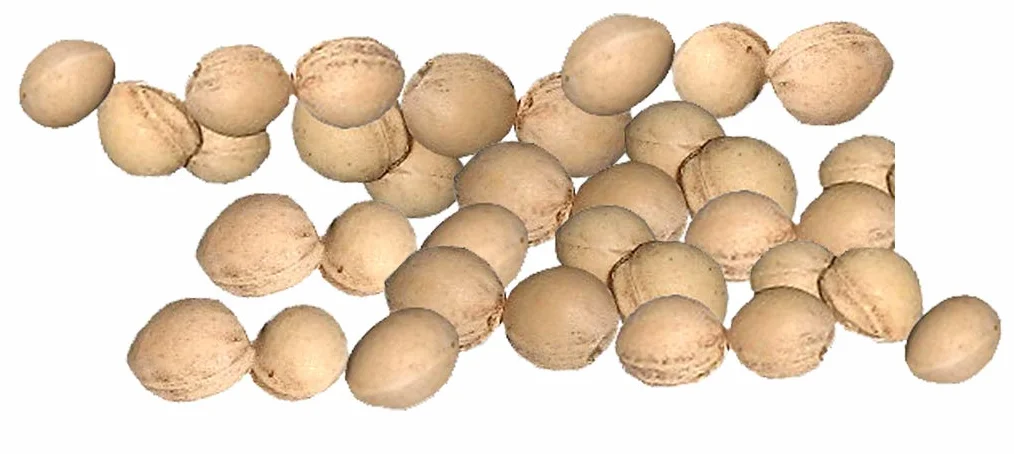 Naturgut Huesos De Cereza Para Cojín De Calor 5kg