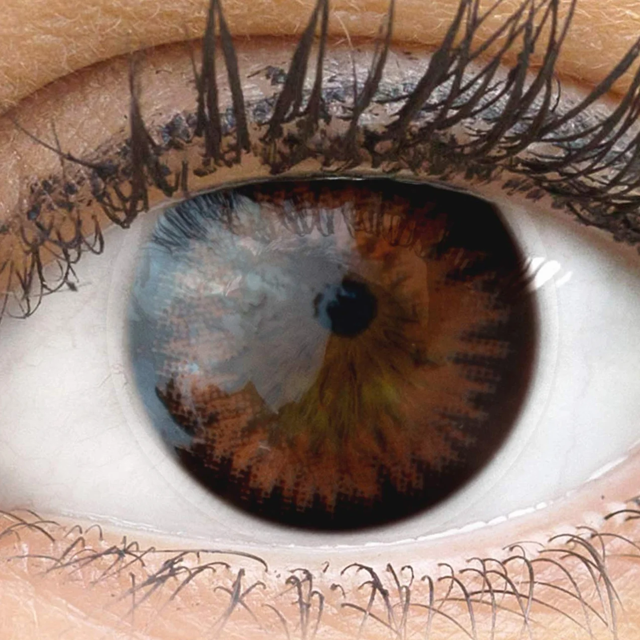 GLAMLENS Siena Choco Lentillas de Color Marrones 1 Par 90 Días Sin Graduación Hidrogel de Silicona