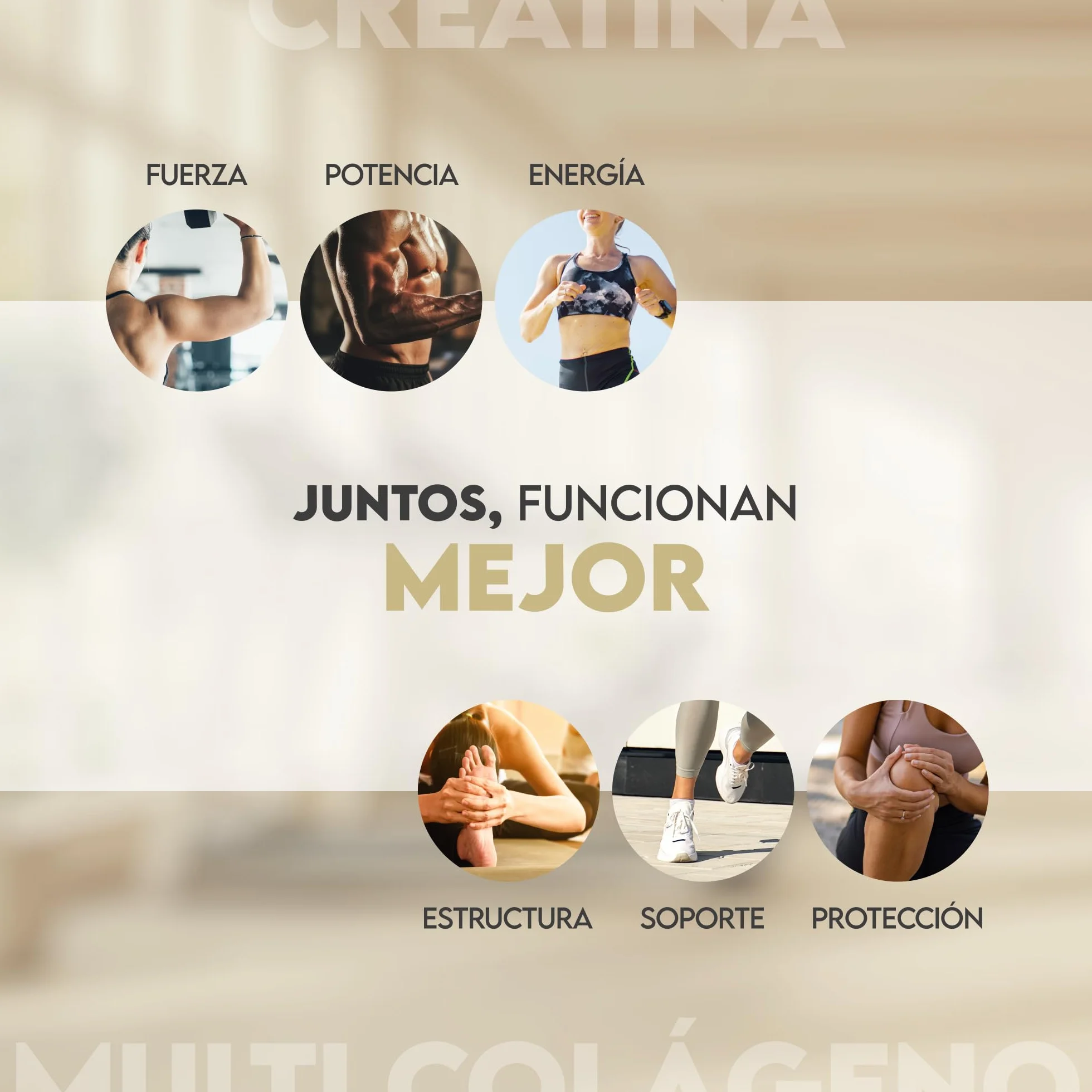 N2 Natural Nutrition Creatina Monohidratada + Multi Colágeno Hidrolizado con Vitamina C en polvo 3000mg 70 Dosis