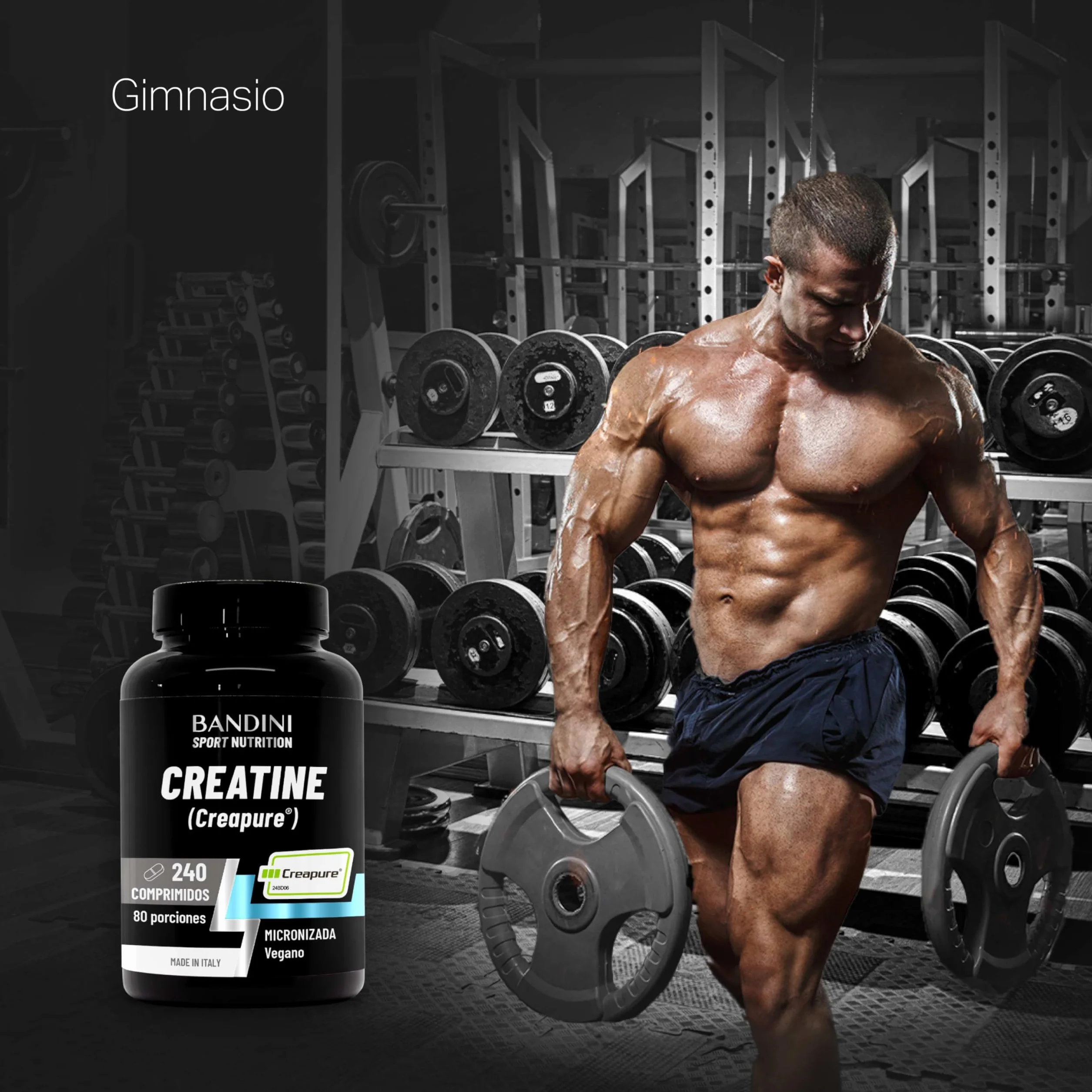 Bandini Creatine CREAPURE Monohidrato 240 Comprimidos Suplemento Deporte Gimnasio Vegano