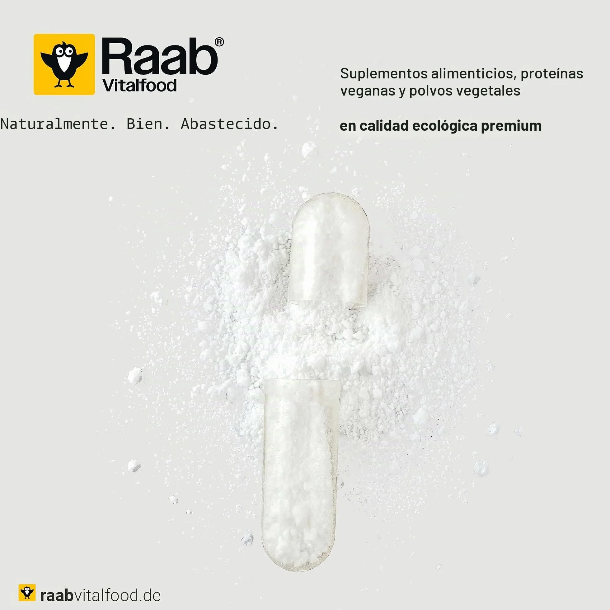 Raab Vitalfood Electrolitos Pur 170 g - Electrolitos sin azúcar, vegano, para deportistas, pérdida de líquidos, músculos, nervios