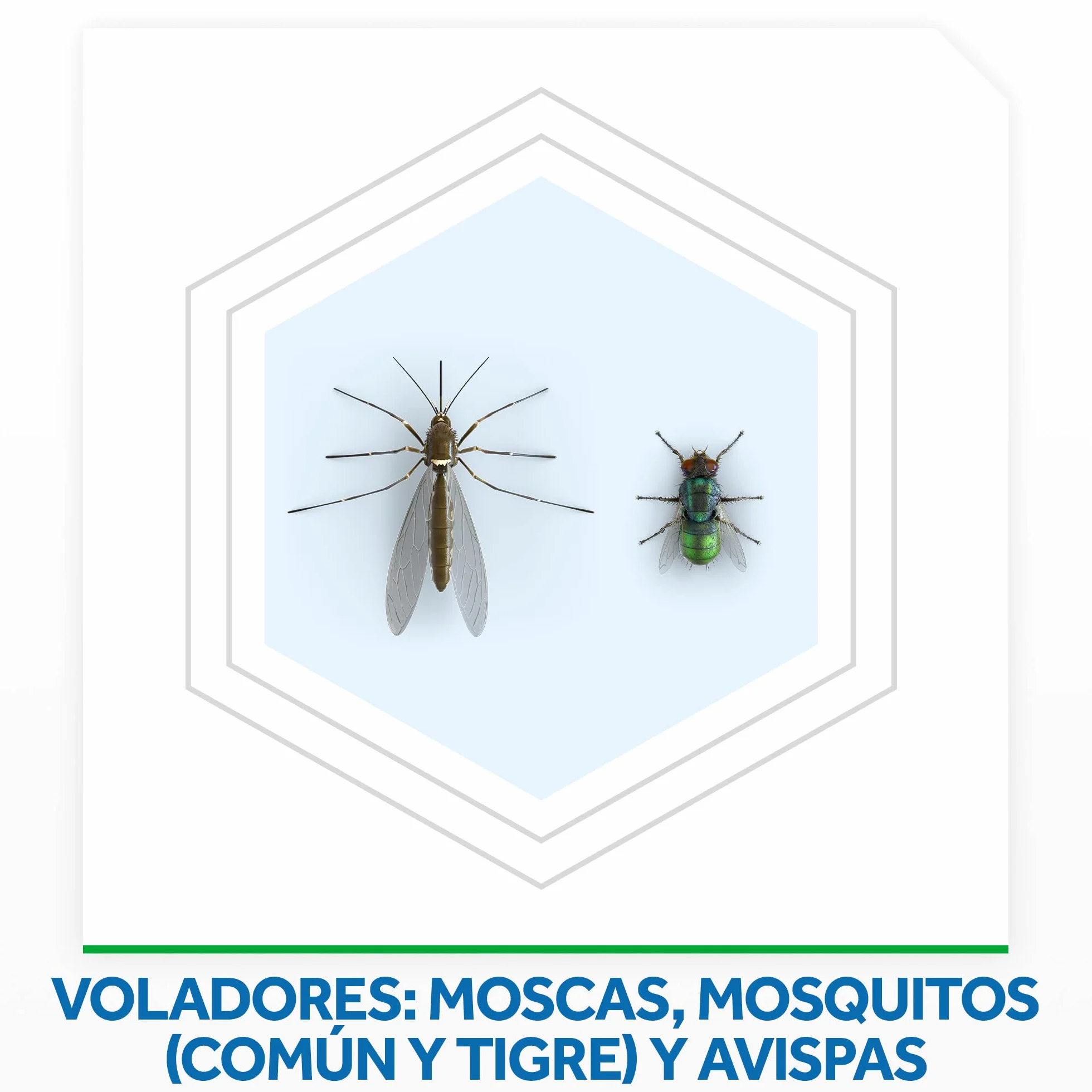 Raid Spray Insecticida Aerosol Hogar Interiores 400ml