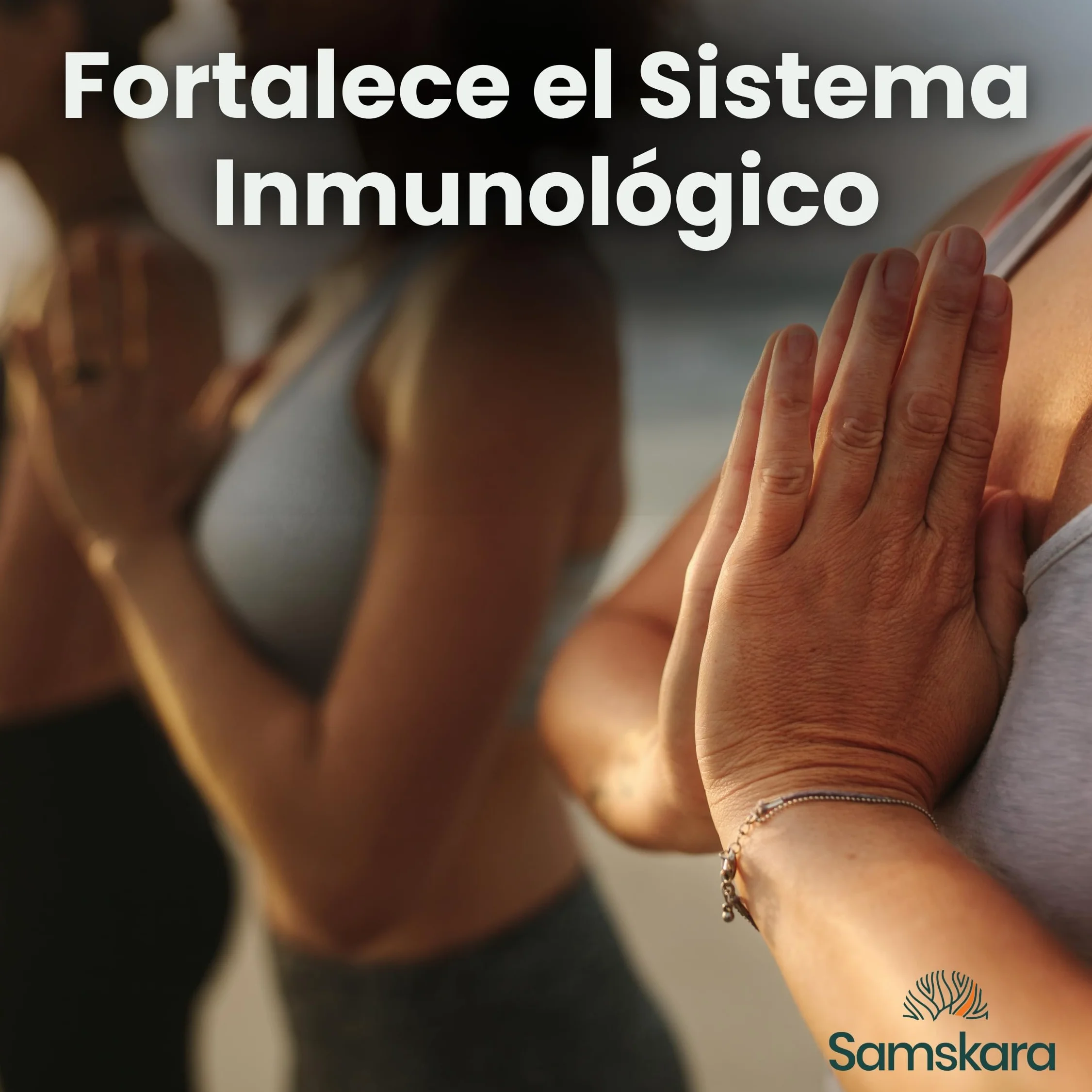 Samskara Superfoods Remolacha en Polvo Ecológica Certificado Orgánico BIO 1 kg
