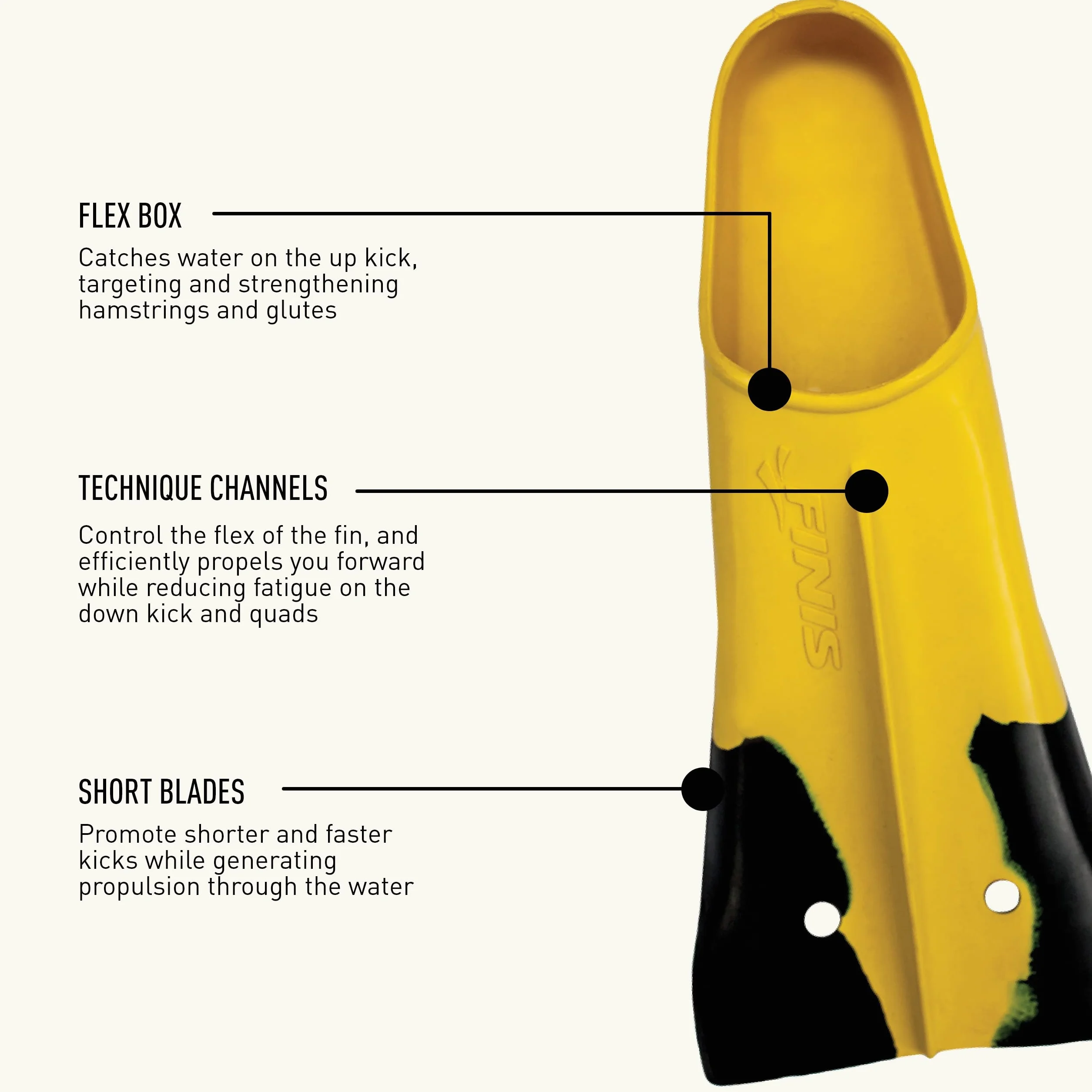 FINIS Aletas de Natación Z2 Gold Zoomers - Aletas de Entrenamiento de Hoja Corta para Fuerza y Velocidad - Ajuste de Goma Natural - Talla