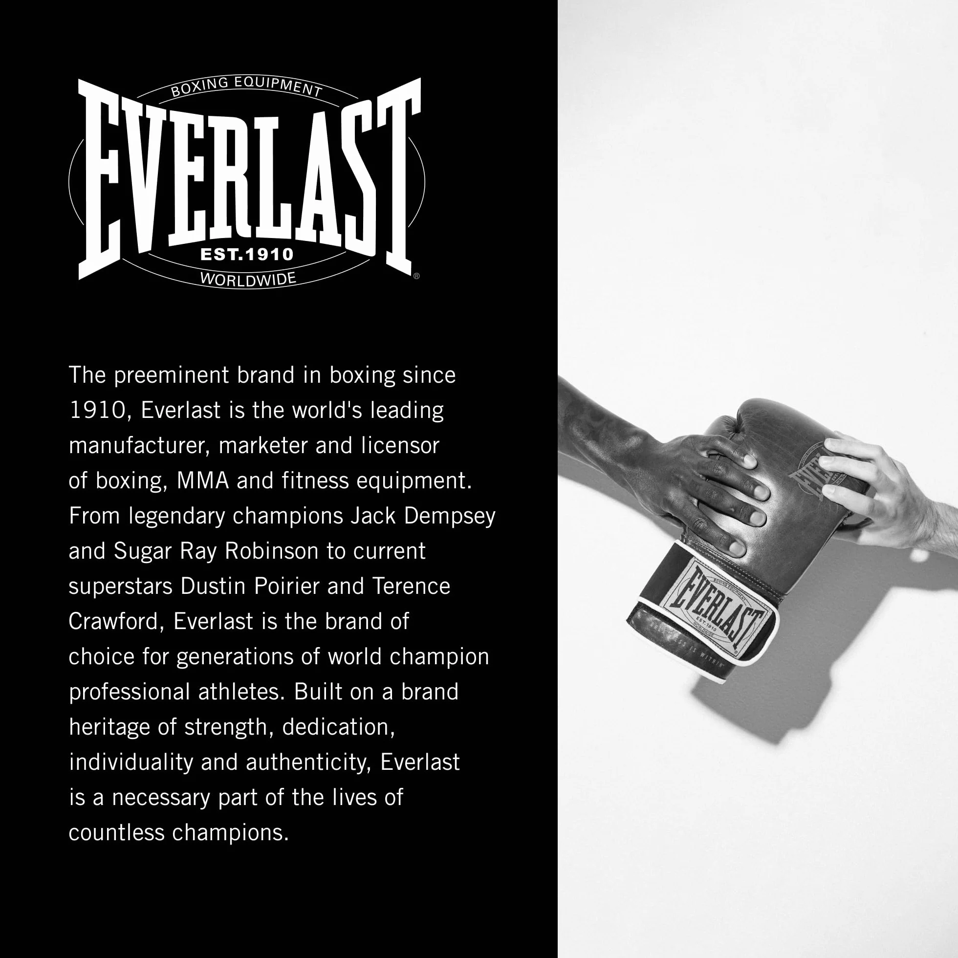 Everlast 1910 Classic Guantes de Boxeo Cuero Cierre Velcro