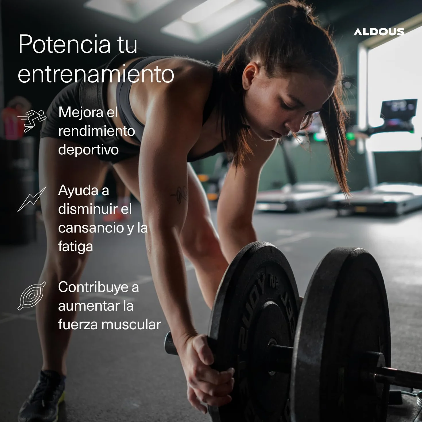 Creatina Monohidratada 3000mg 200 Comprimidos Fáciles de Partir Recuperador Muscular Suplemento Deportivo ALDOUS