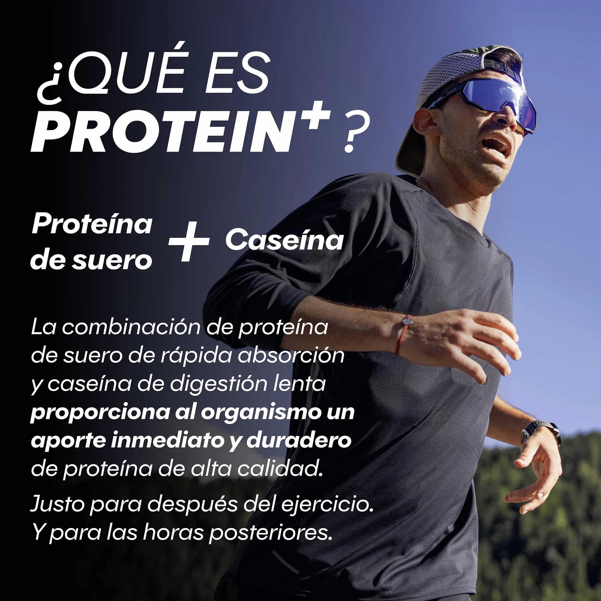 Powerbar Protein Plus Low Sugar Vanilla 16x35g Barrita alta en proteínas baja en azúcar
