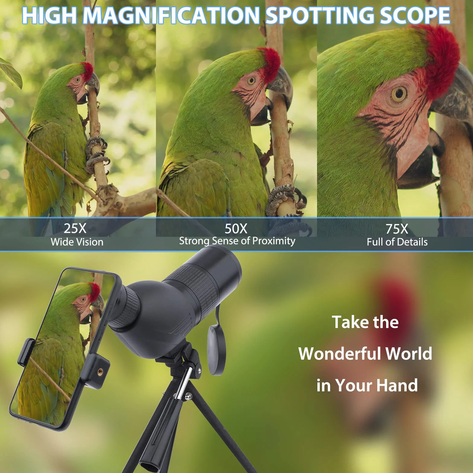 Telescopio Terrestre 12-36x50 HD con Trípode, Bolsa de Transporte y Adaptador de Teléfono Inteligente para Observación de Aves, Observación de Estrellas, Tiro con Arco, Paisaje de Vida Silvestre