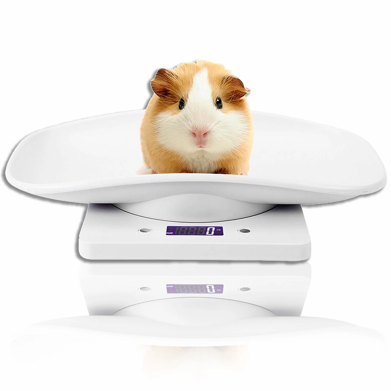 Agatige Báscula de Peso para Mascotas Pequeñas 10kg/1g, Digital LCD Electrónica con Bandeja Extraíble
