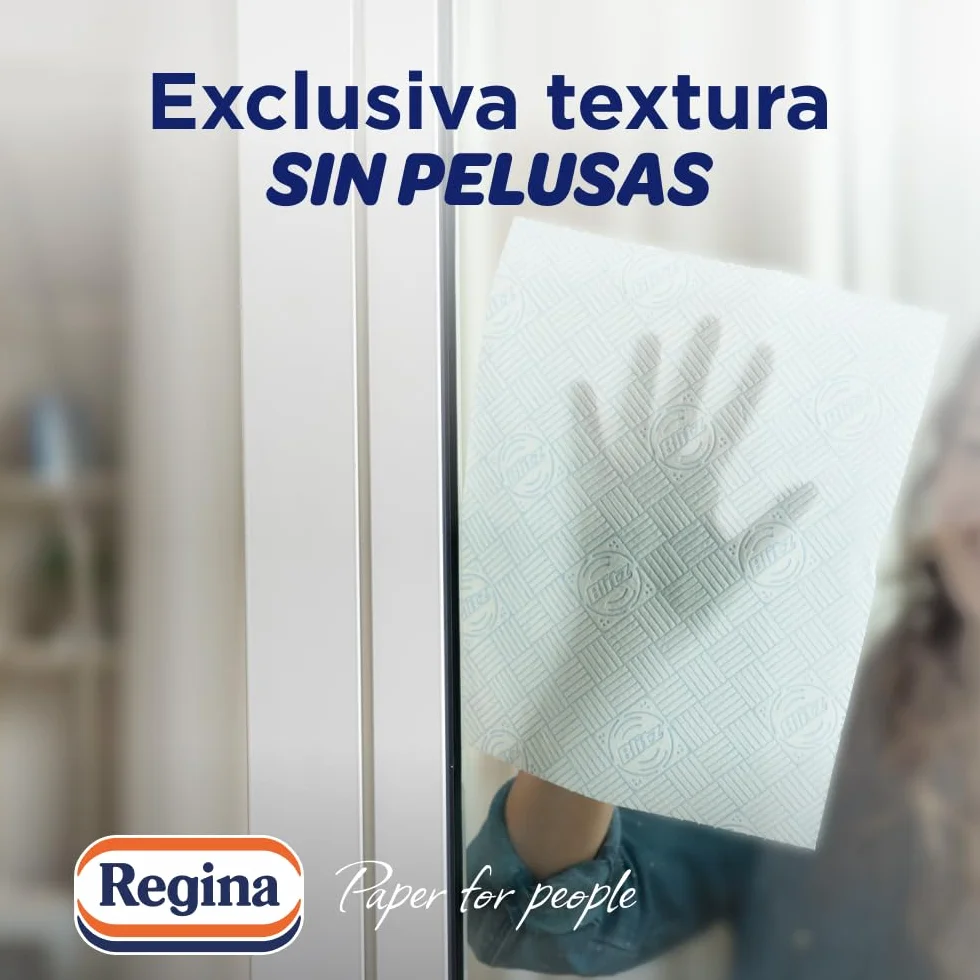 Regina Blitz Papel de Cocina 5 Rollos 100 Maxi-Hojas 3 Capas Sin Pelusas