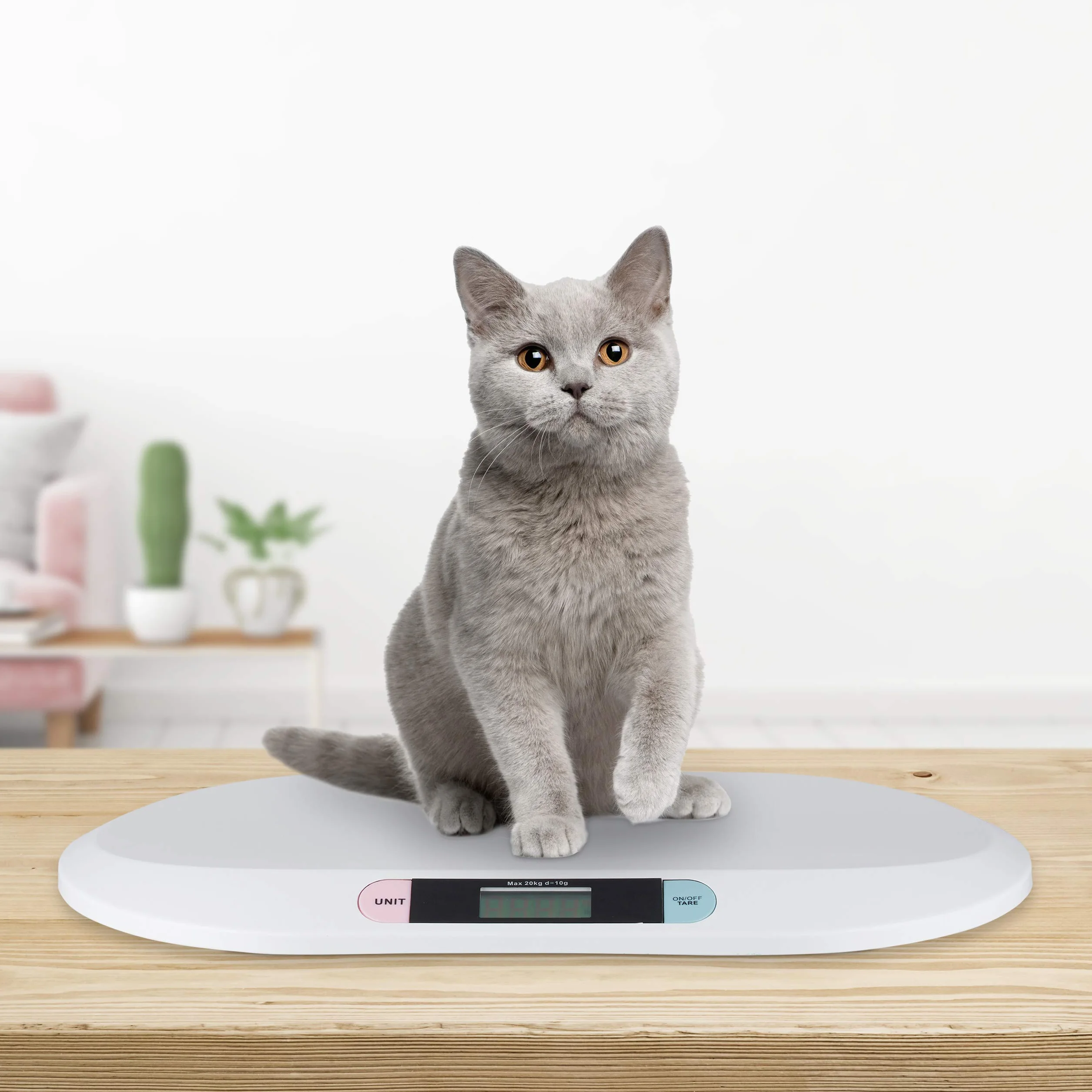 Báscula para bebés Little Choice, Recién Nacidos hasta 20 kg, sin Pilas, Blanco