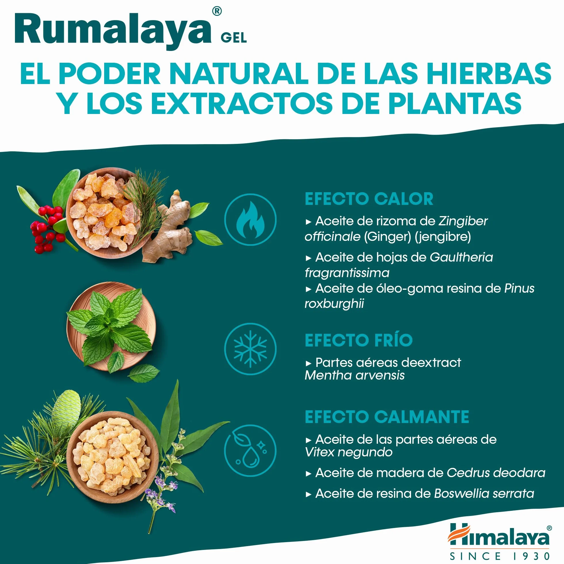 Himalaya Rumalaya Soothing Gel Fast Action Massage Topical Gel 50 g