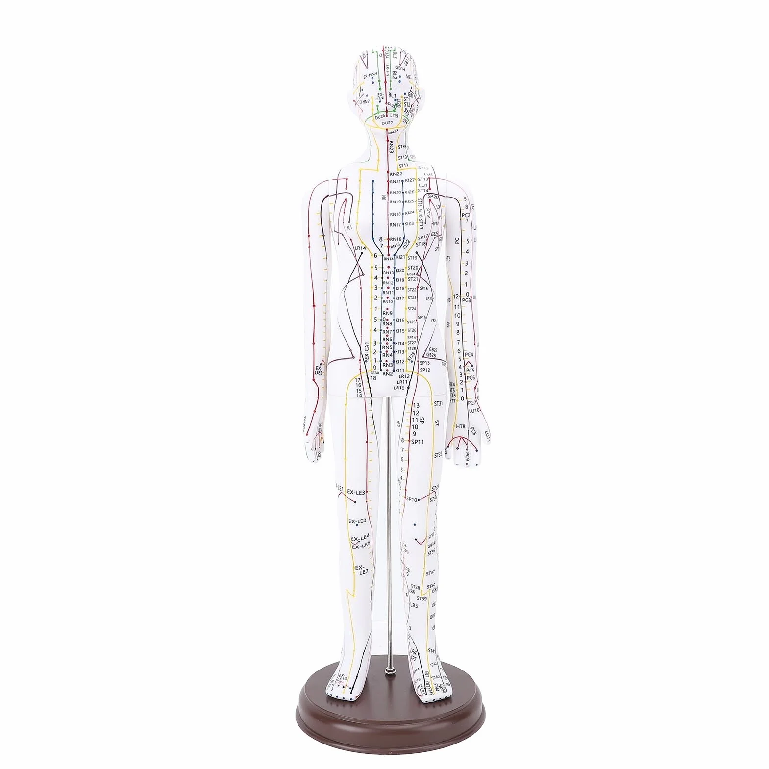 Muñeca de Acupuntura de 52 Cm, Modelo de Cuerpo Humano, Maniquí Masculino/Femenino con Base