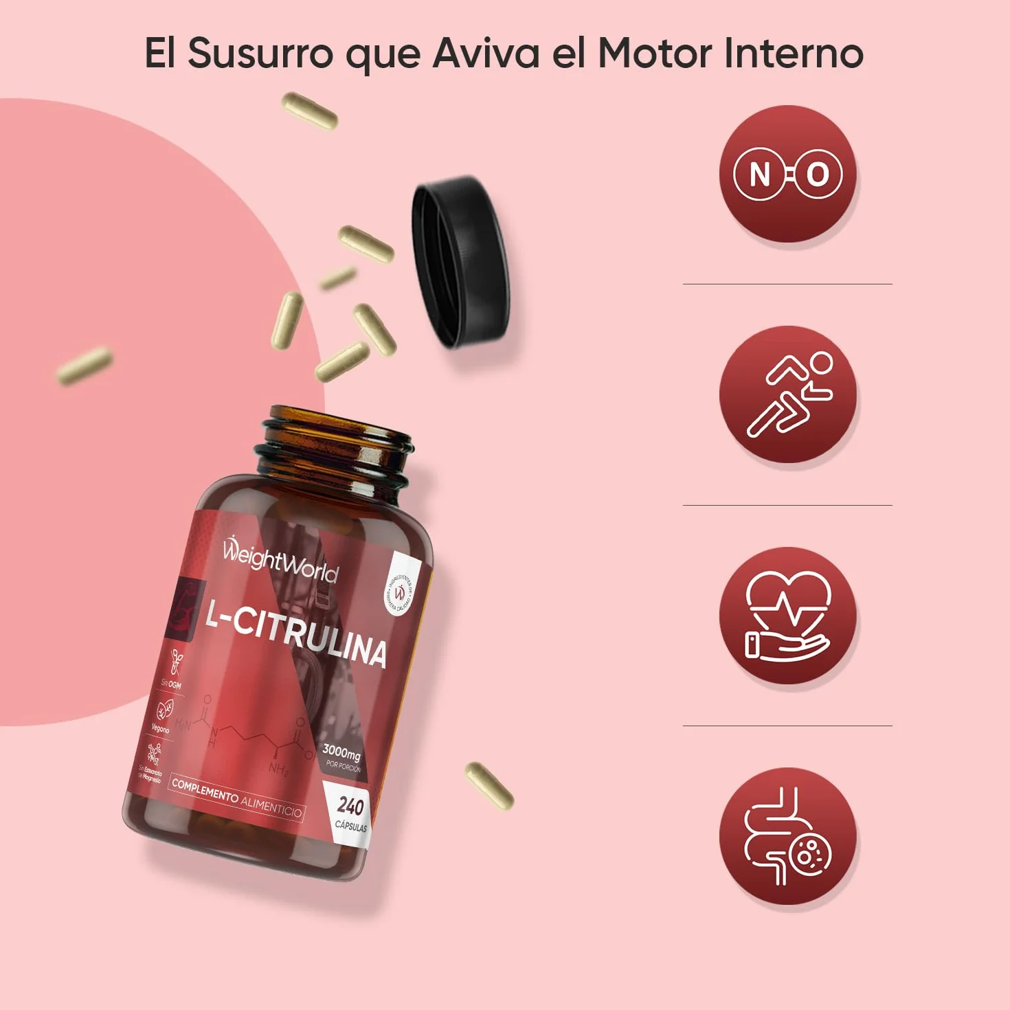 L Citrulina 3000mg 240 Cápsulas Veganas Suplemento Pre y Post Entrenamiento