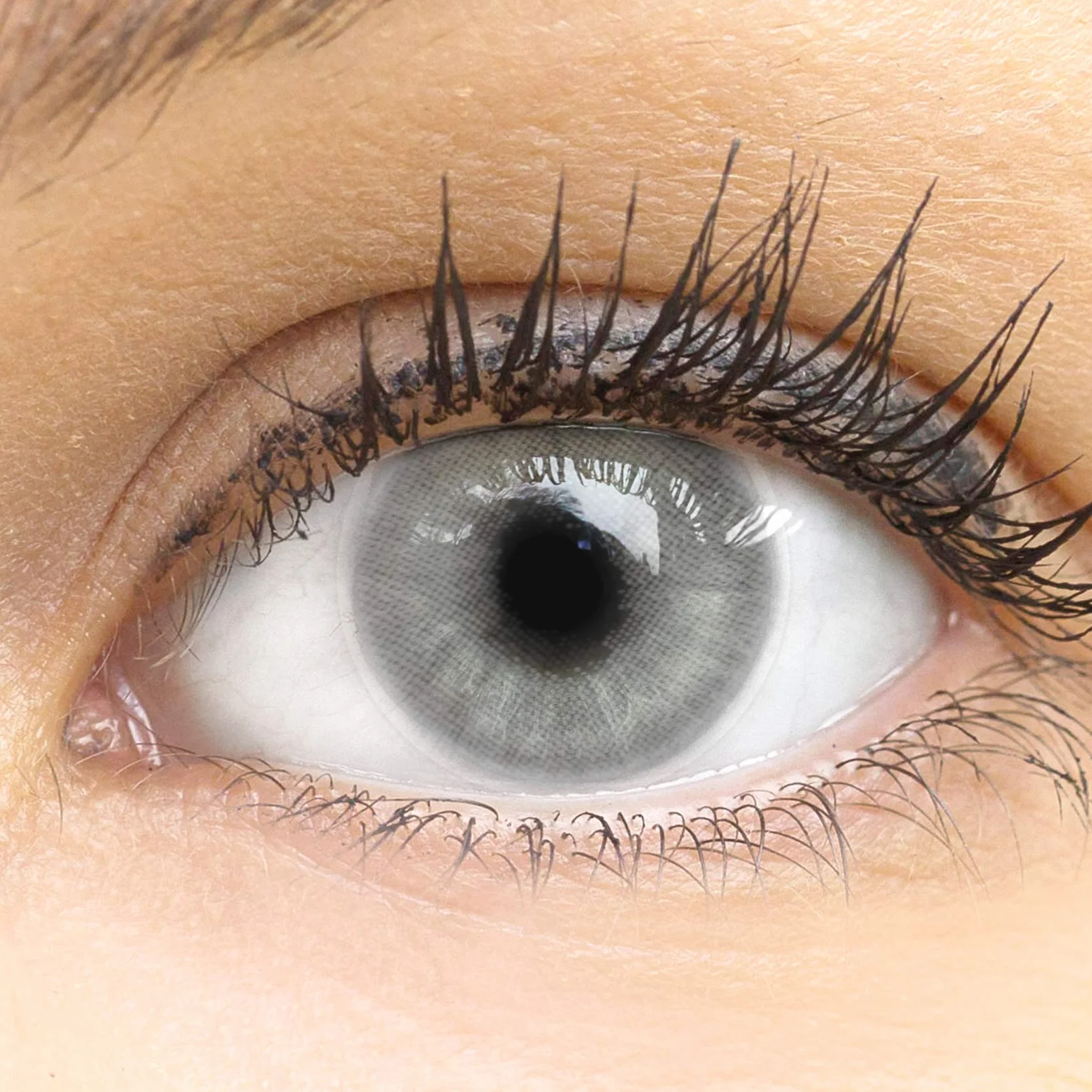 GLAMLENS lentillas de color gris Pisa Grey 1 par 90 Días Sin Graduación hidrogel de silicona