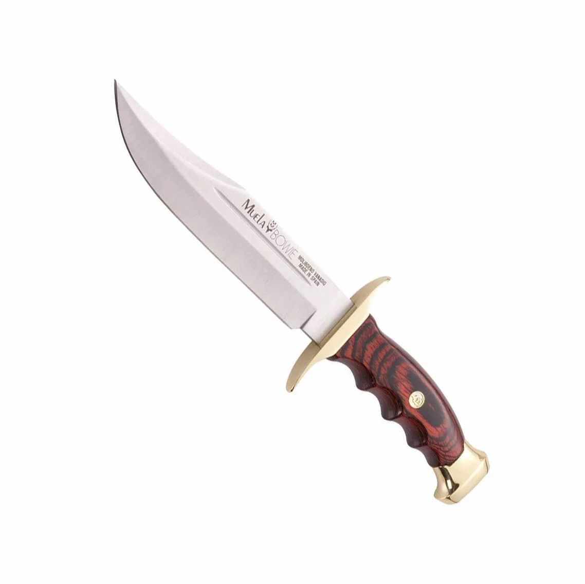 Muela Cuchillo de caza BW-18 con hoja de acero inoxidable ACX-380 de 18 cm y empuñadura de madera de coral para Caza, Pesca, Supervivencia y Bushcraft + Portabotellas de regalo