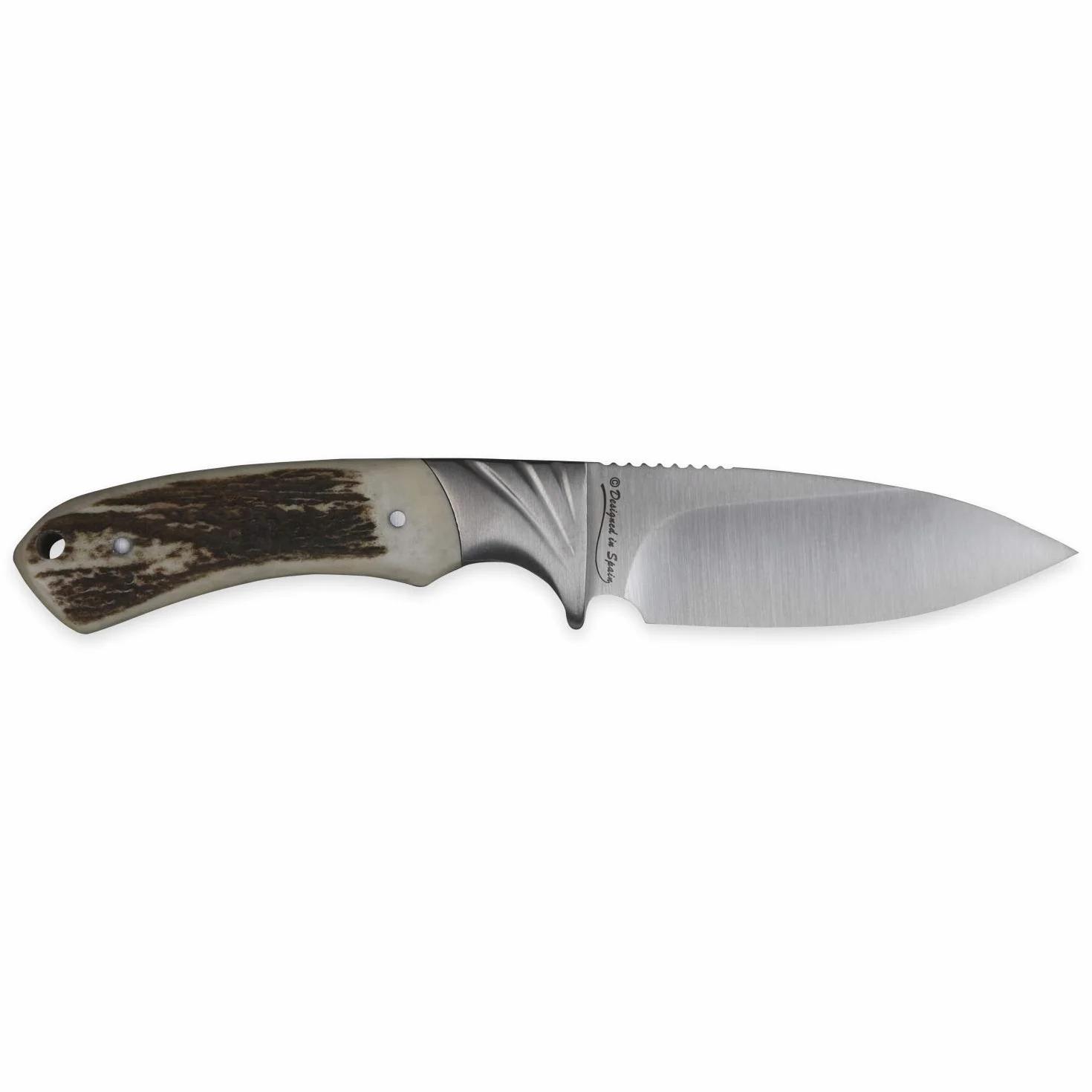 iFIELD Cuchillo de caza deportivo Camper EL29019, hoja 10,8 cms, grosor 3,8 mm, total 22,8 cm, mango de ciervo, con funda de piel, herramienta de camping para pesca, caza, actividad deportiva