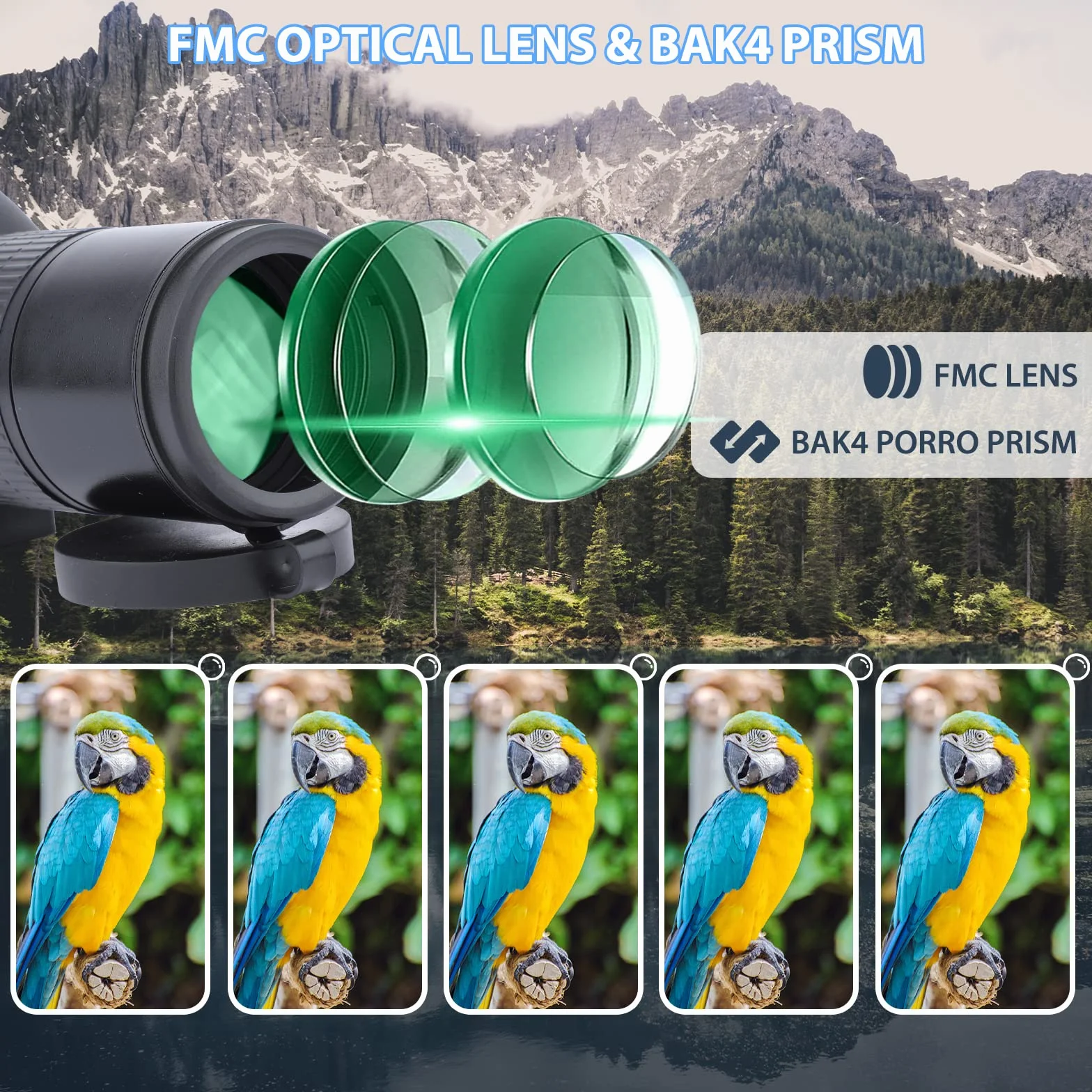 Telescopio Terrestre 12-36x50 HD con Trípode, Bolsa de Transporte y Adaptador de Teléfono Inteligente para Observación de Aves, Observación de Estrellas, Tiro con Arco, Paisaje de Vida Silvestre