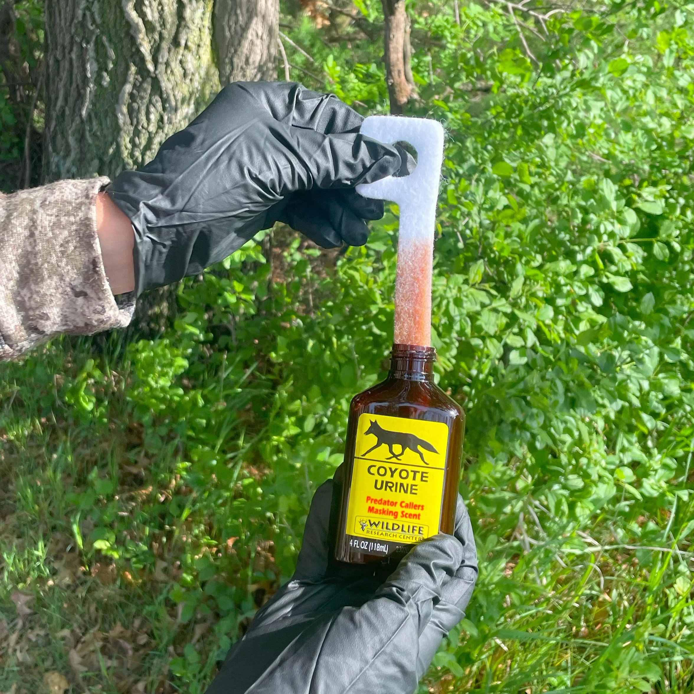 WILDLIFE RESEARCH CENTER Coyote Orine Predator Calling - Aroma de enmascaramiento para Caza de Coyotes