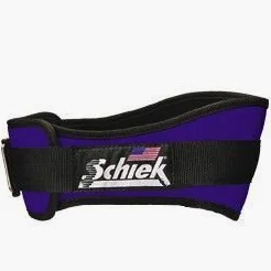 Schiek Sports 2004 - Cinturón de levantamiento de pesas (nailon, 11,5 cm), color negro