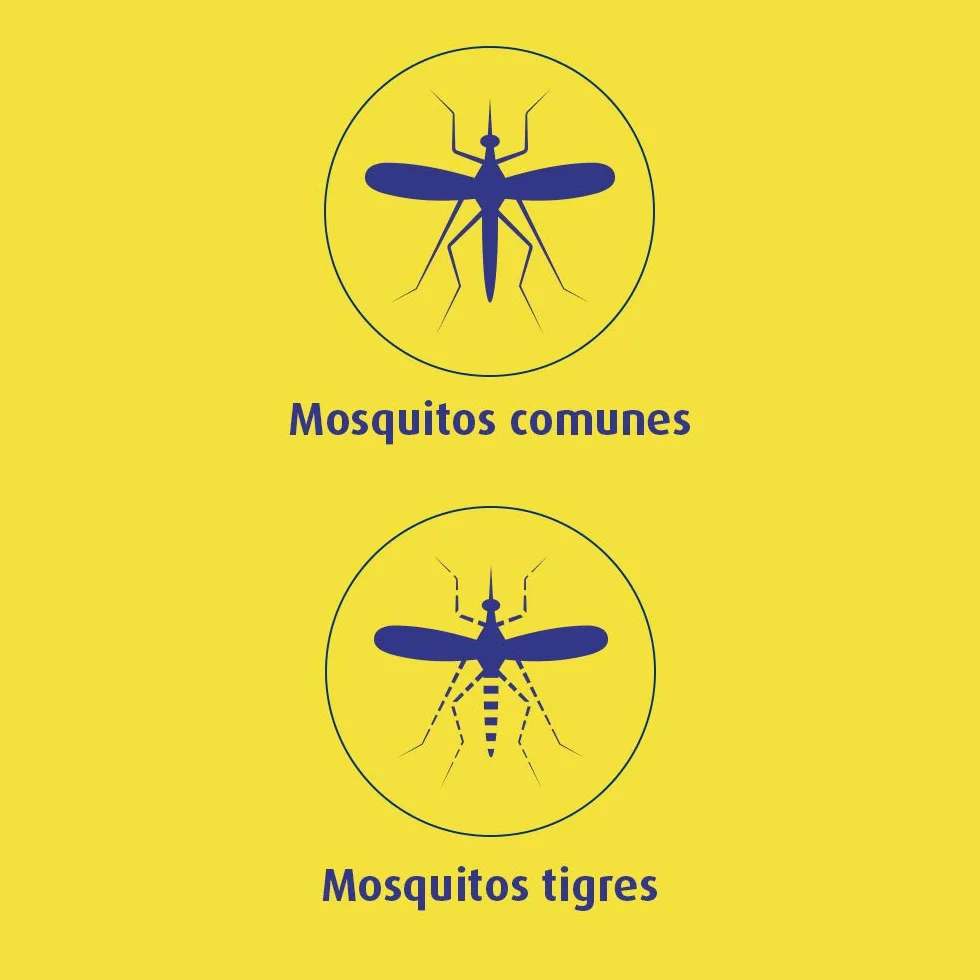 Bloom Insecticida Eléctrico Líquido 6 en 1 Antimosquitos 3 Aparatos + 3 Recambios 135 Noches
