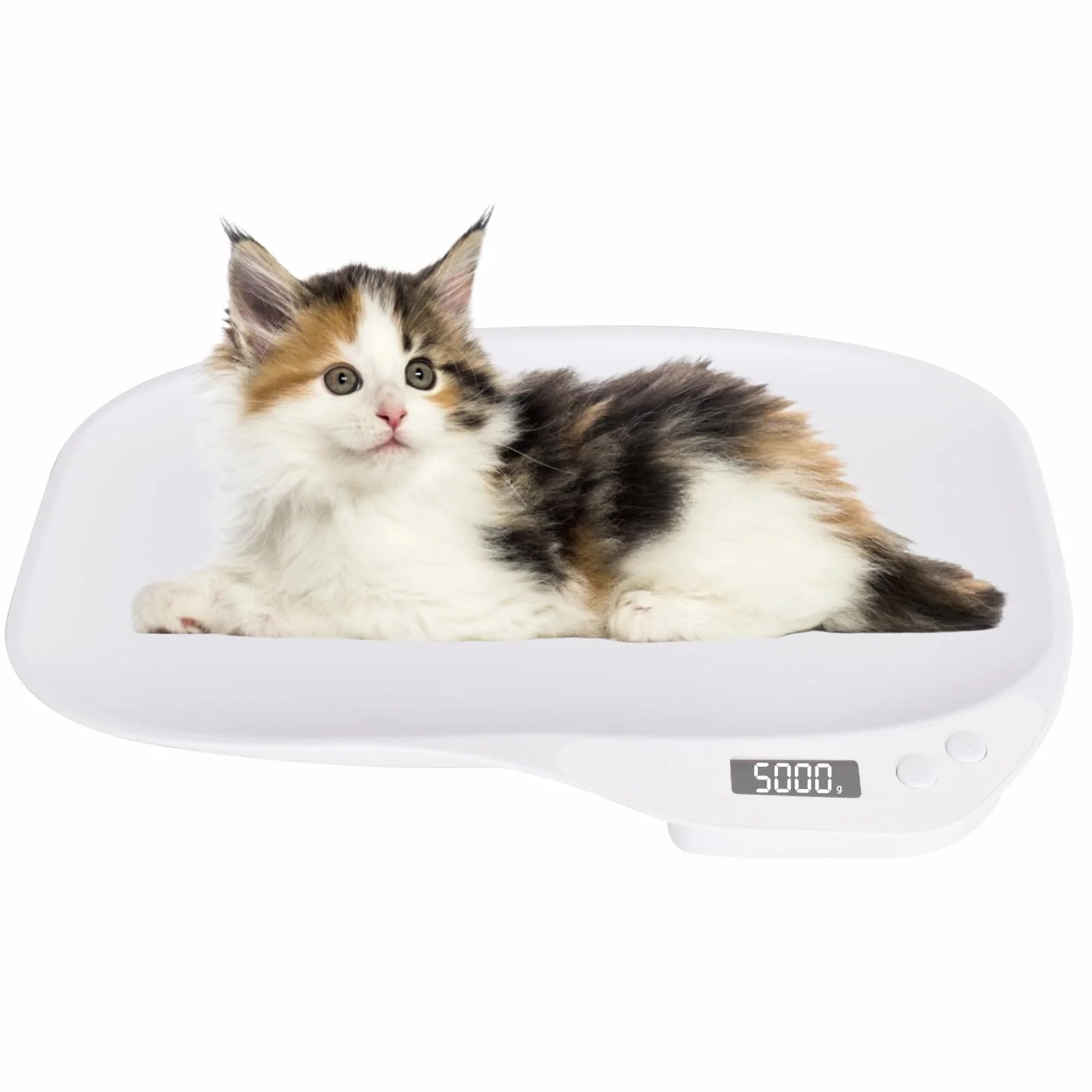 Báscula digital para mascotas 15 kg 4 modos de ponderación