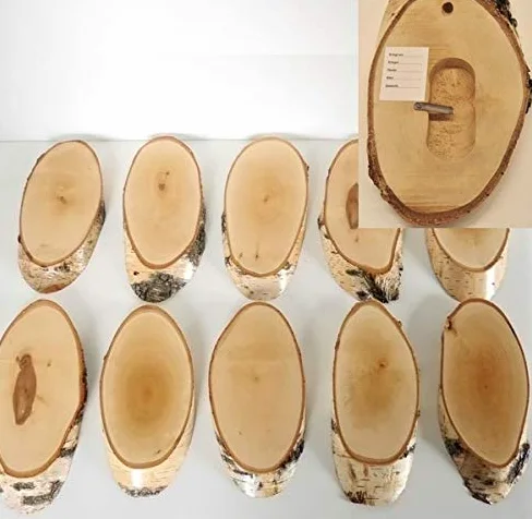 10 carteles de madera de abedul para trofeos con cornamenta, cornamenta, disco de árbol, cartel de madera natural, moderno con compartimento de pino