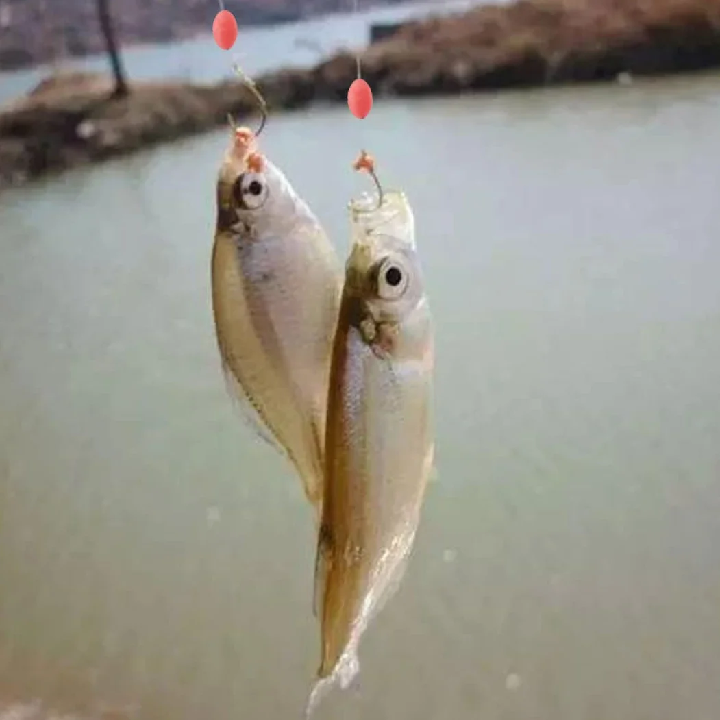 Jorzer Tope de Goma de Flotador Táquero de Pesca Silicona Pesca de Goma Bobber Tope de Frijoles Flotador Accesorios de la línea de Pescado para 2.5# -5.0# Línea 300pcs