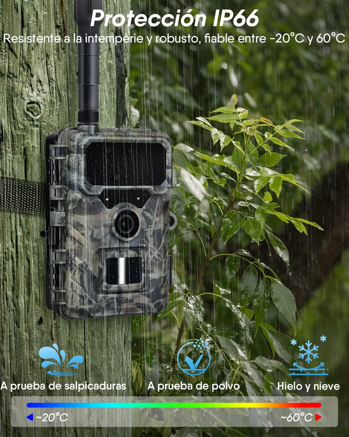 Cámara de Caza 4G Rollei, 4K Camara Fototrampeo con Tarjeta Sim y App y Sensor de Movimiento Cámara de Fotos Trampeo Caza Infrarroja con Visión Nocturna Tarjeta SD de 32GB IP66,Cámara-Caza-Fototrampeo