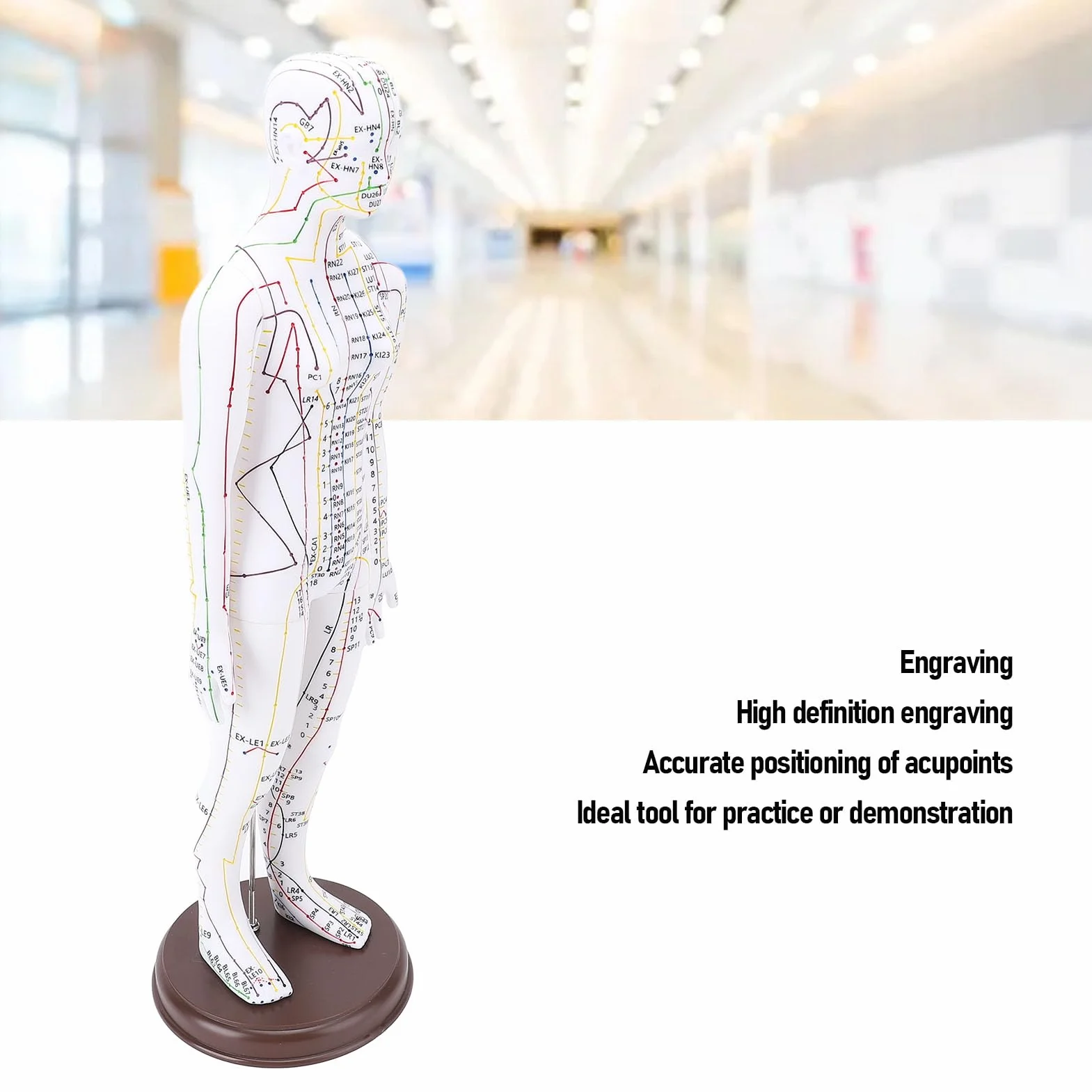 Muñeca de Acupuntura de 52 Cm, Modelo de Cuerpo Humano, Maniquí Masculino/Femenino con Base