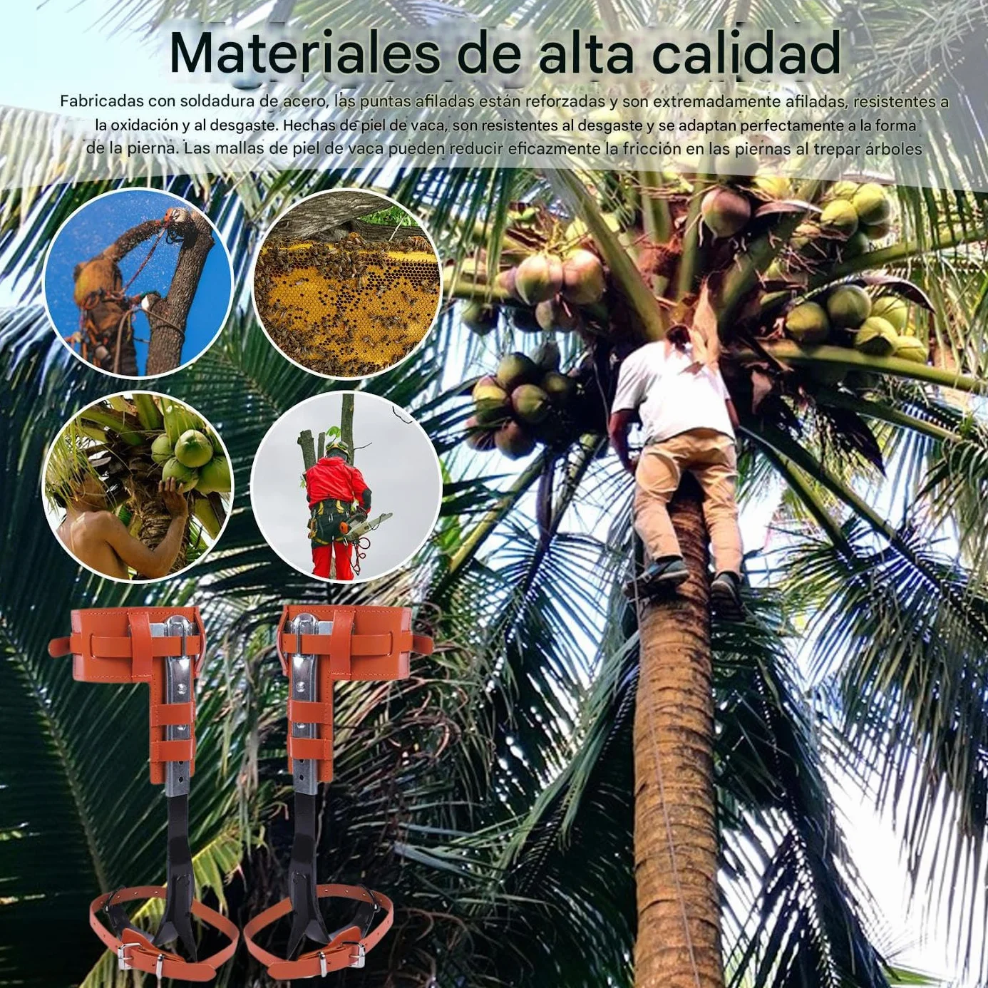 Genérico Espuelas para Trepar Árboles | Picos para Escalada De Árboles Actividades Exteriores - Ergonómico Altura Ajustable Accesorio De Recreación Al Aire Libre para La Poda El Corte La Gestión De