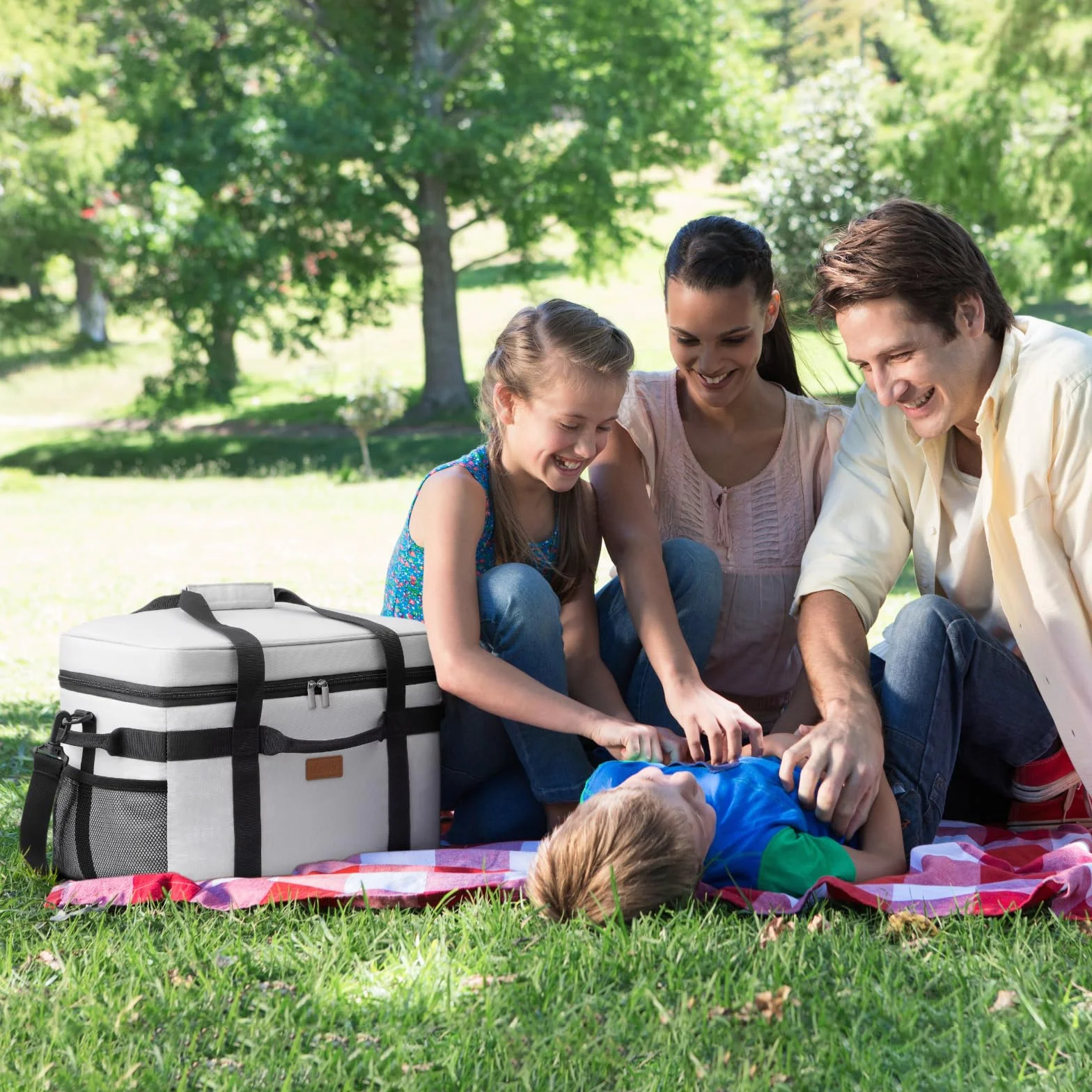 Lifewit Nevera Portatil, Bolsa Termica Grande, Cooler Bag Plegable con múltiples asas, Bolsa Nevera Porta Alimentos para Hombre Mujer, Porta Alimentos para Picnic, Camping, Barbacoa, Gris Seda, 30L