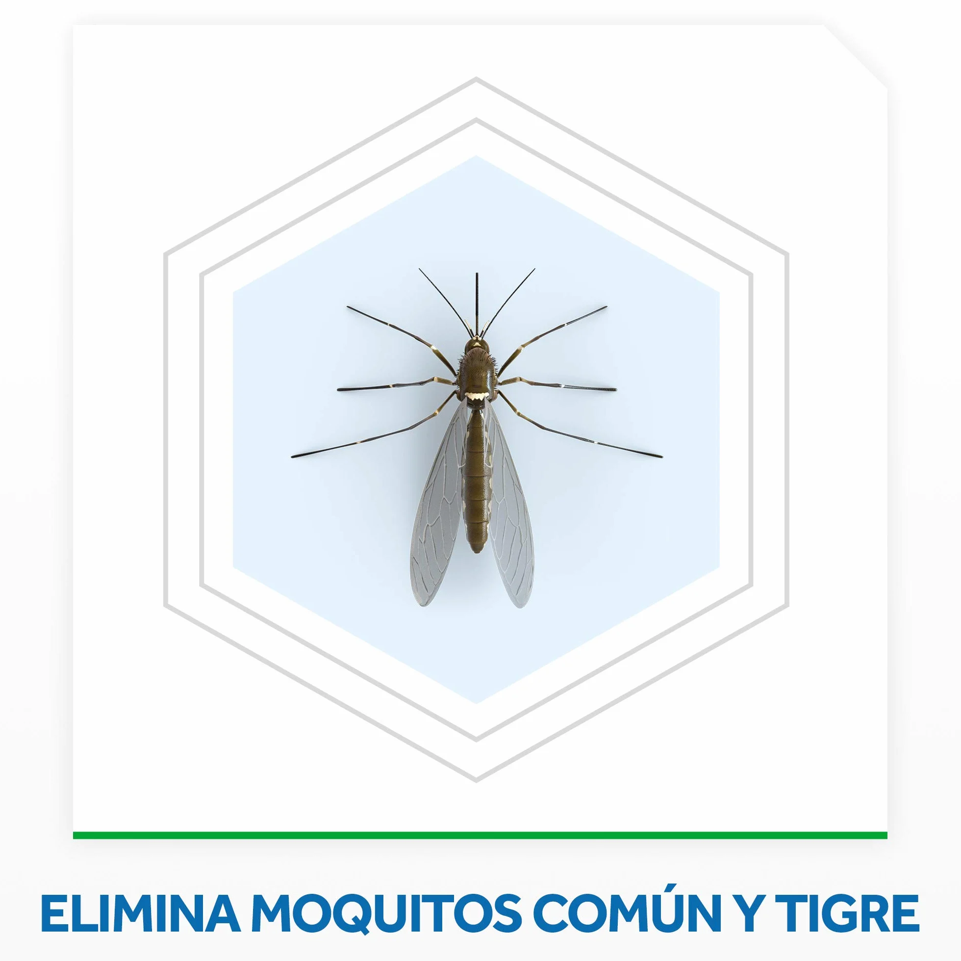 Raid Difusor Eléctrico Anti Mosquitos Comunes y Tigre Aroma Eucalipto con 2 Recambios Blanco