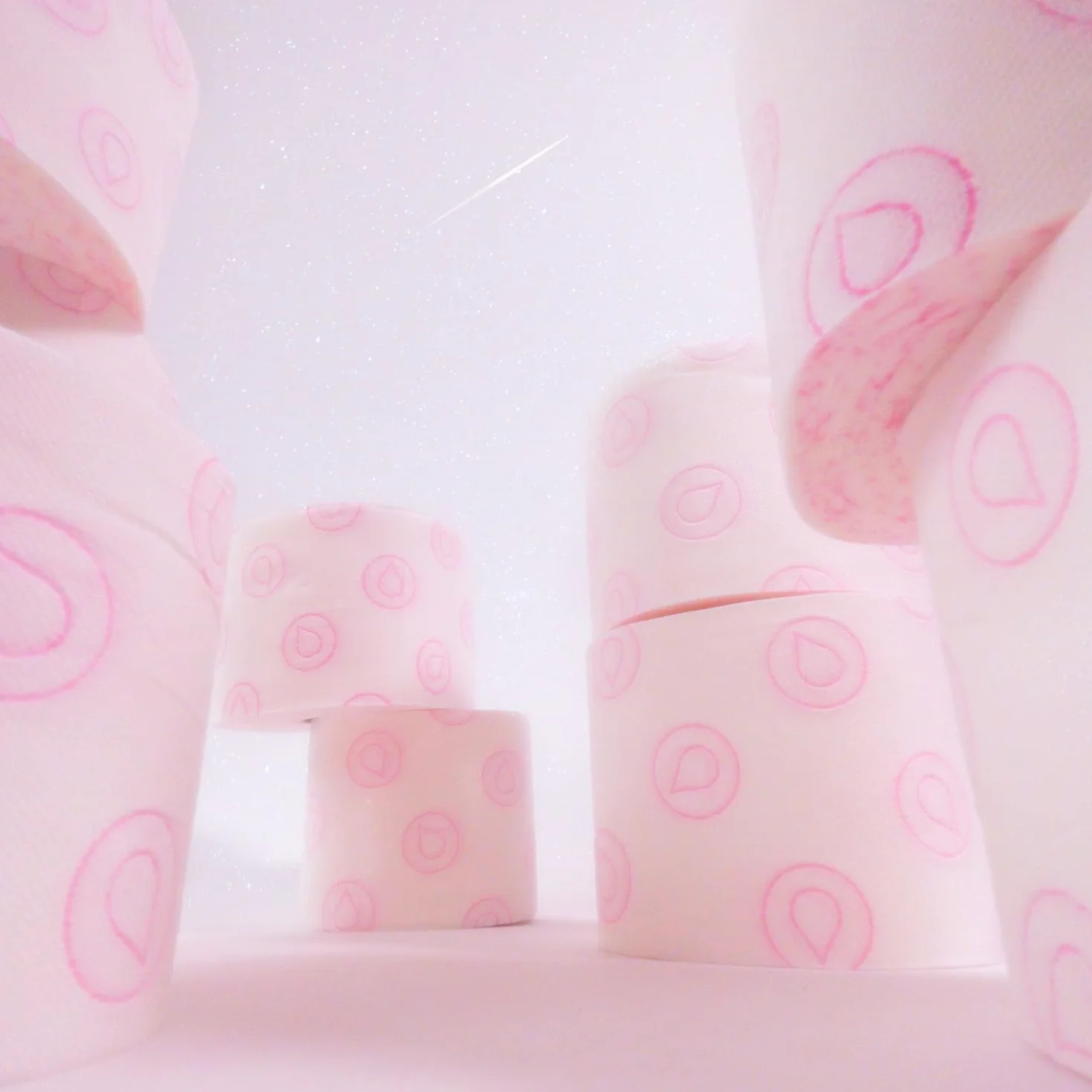 Renova Papel Higiénico Skin Care Plus Decorado Perfumado 12 Rollos